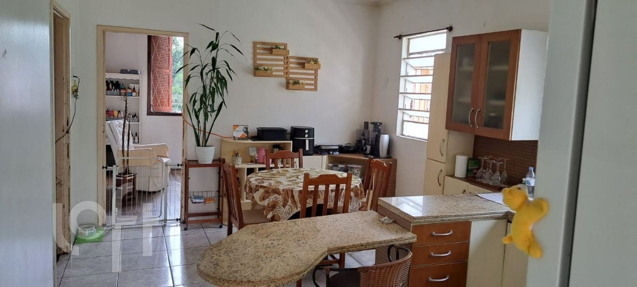 Imagem da propriedade 17