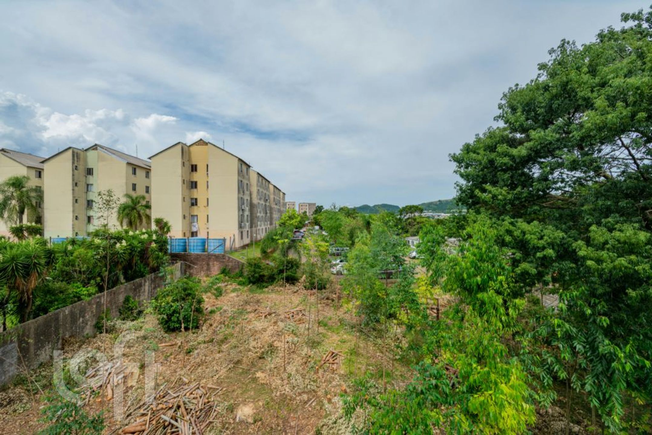 Imagem da propriedade 3