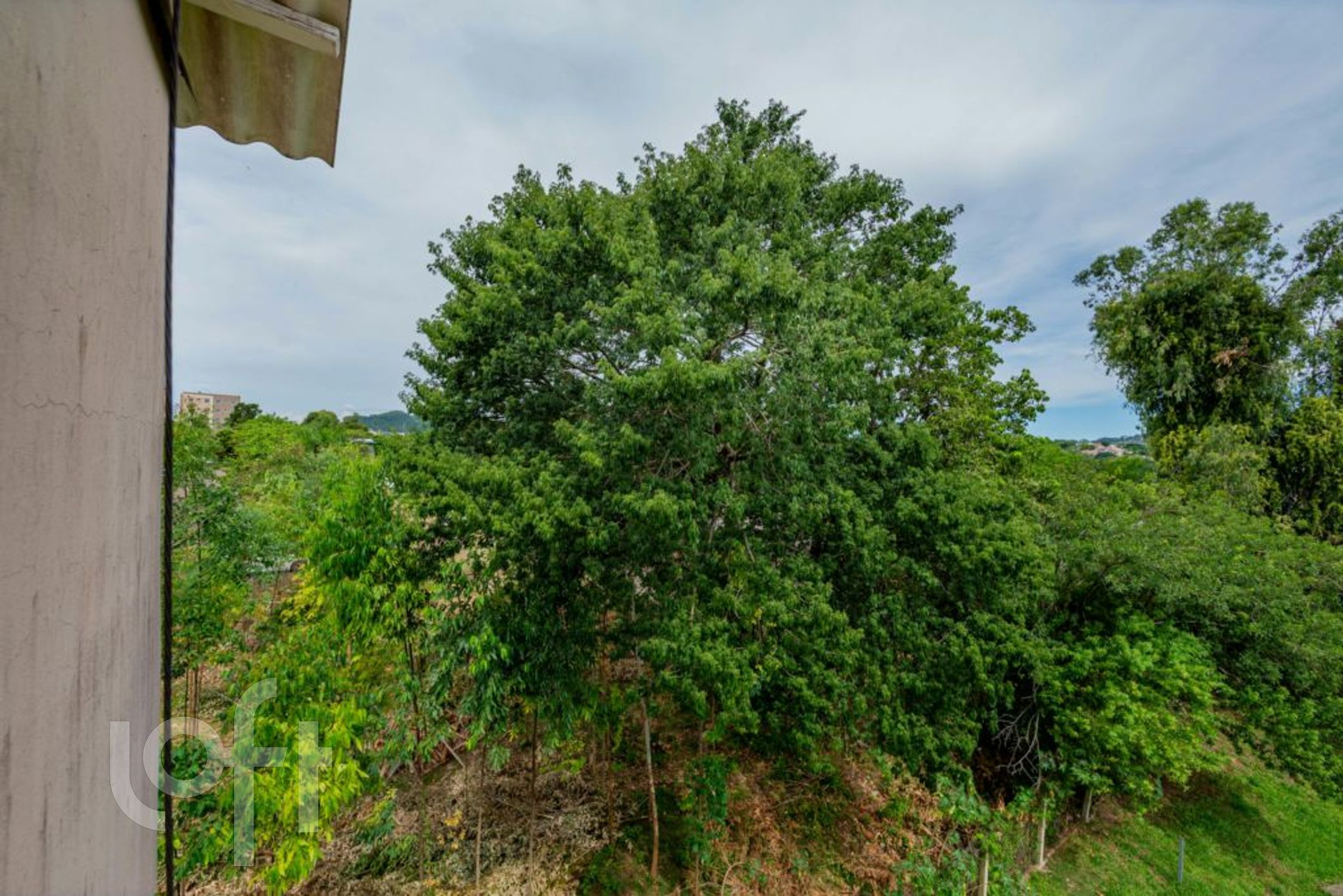 Imagem da propriedade 10