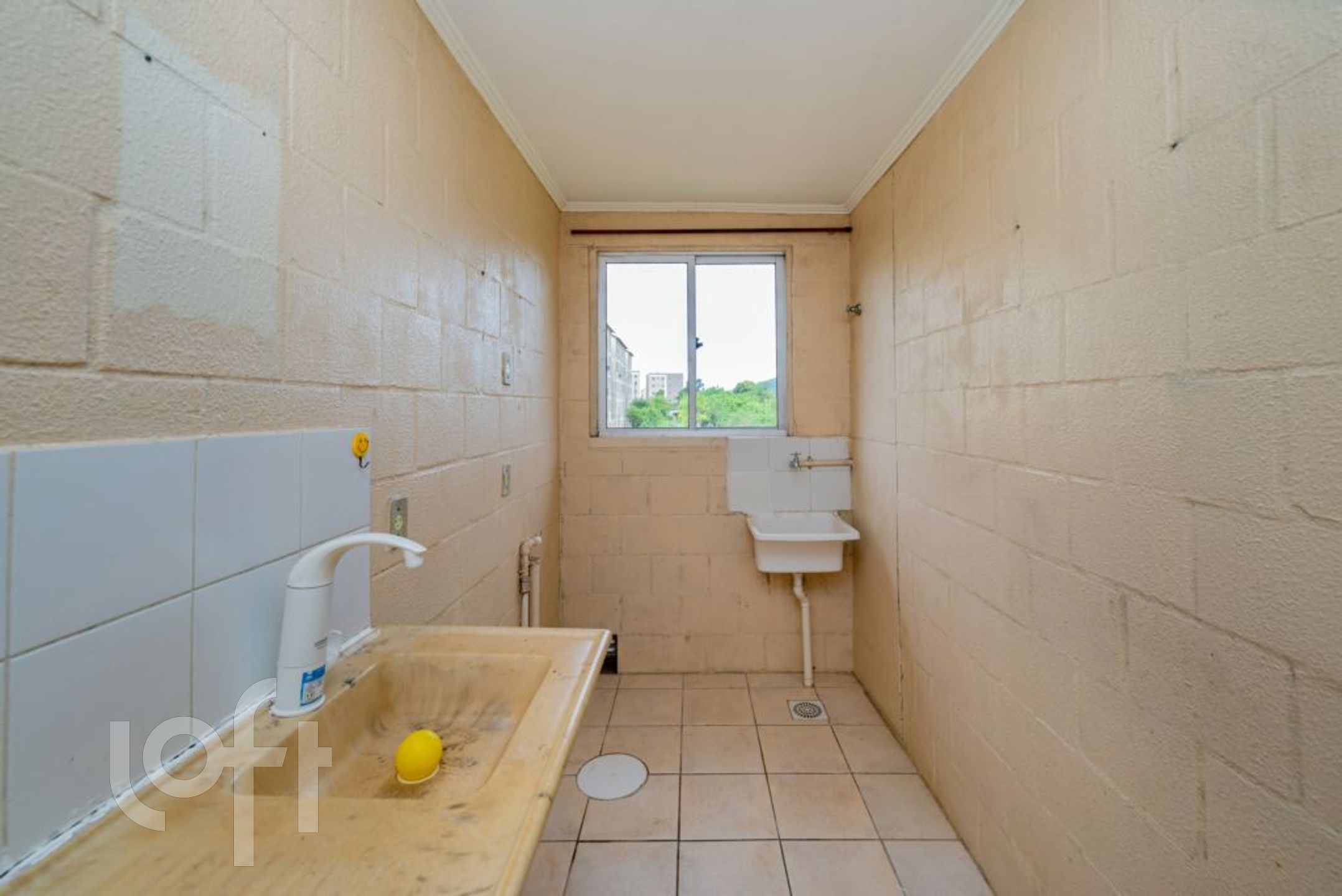 Imagem da propriedade 16