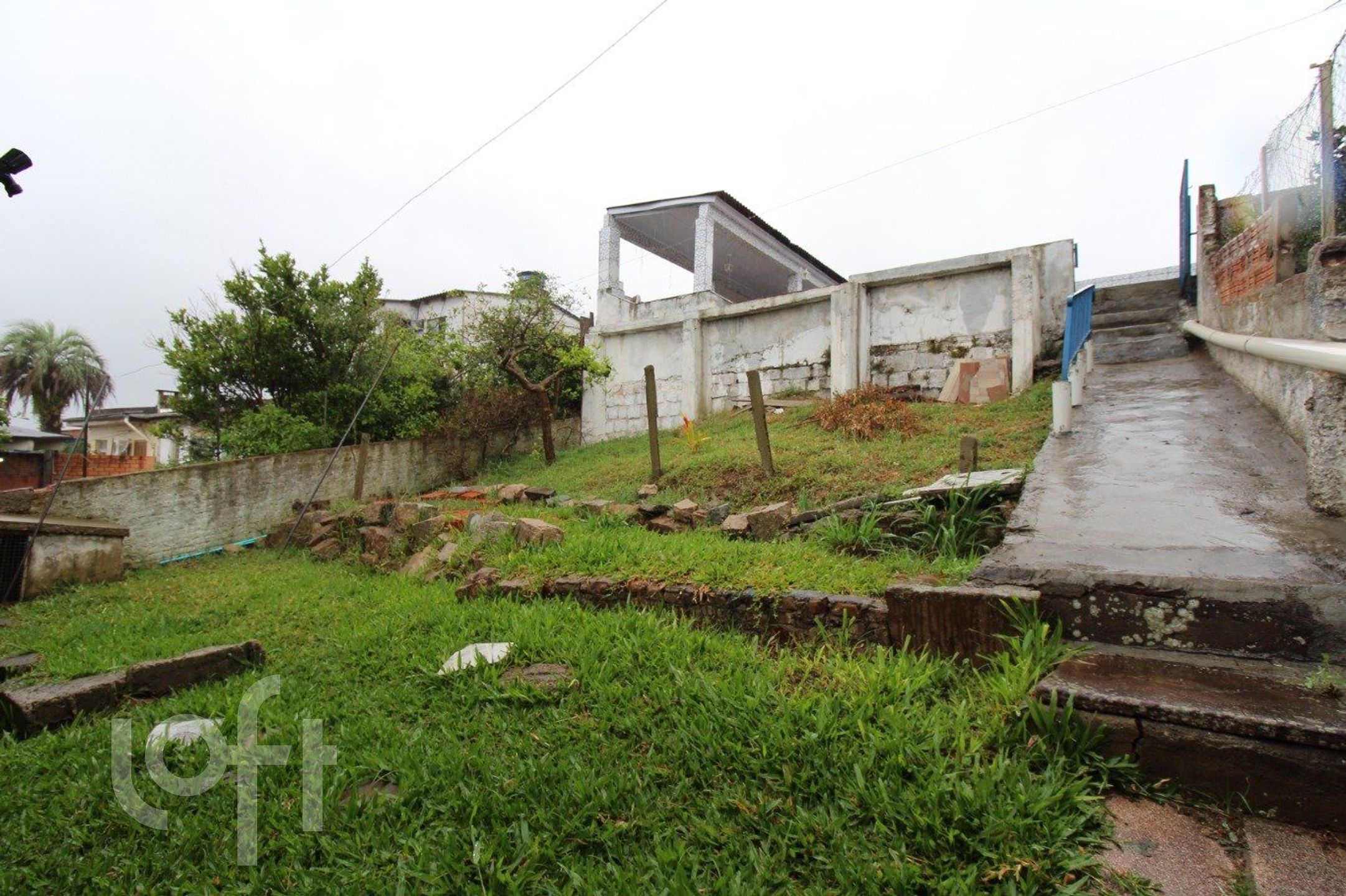 Imagem da propriedade 19