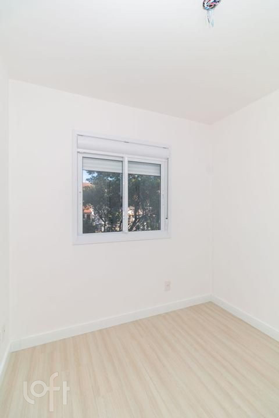 Imagem da propriedade 18