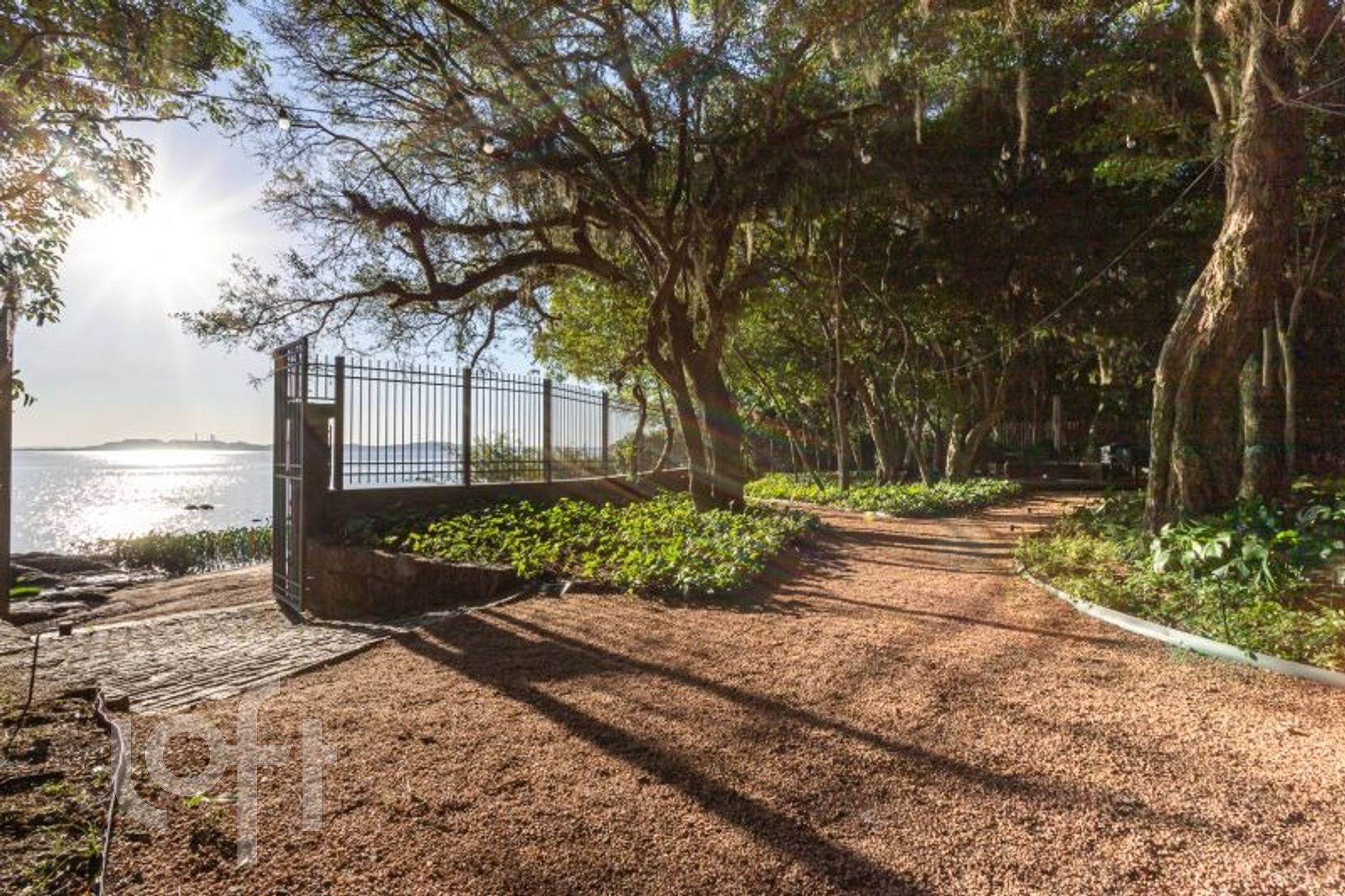 Imagem da propriedade 15