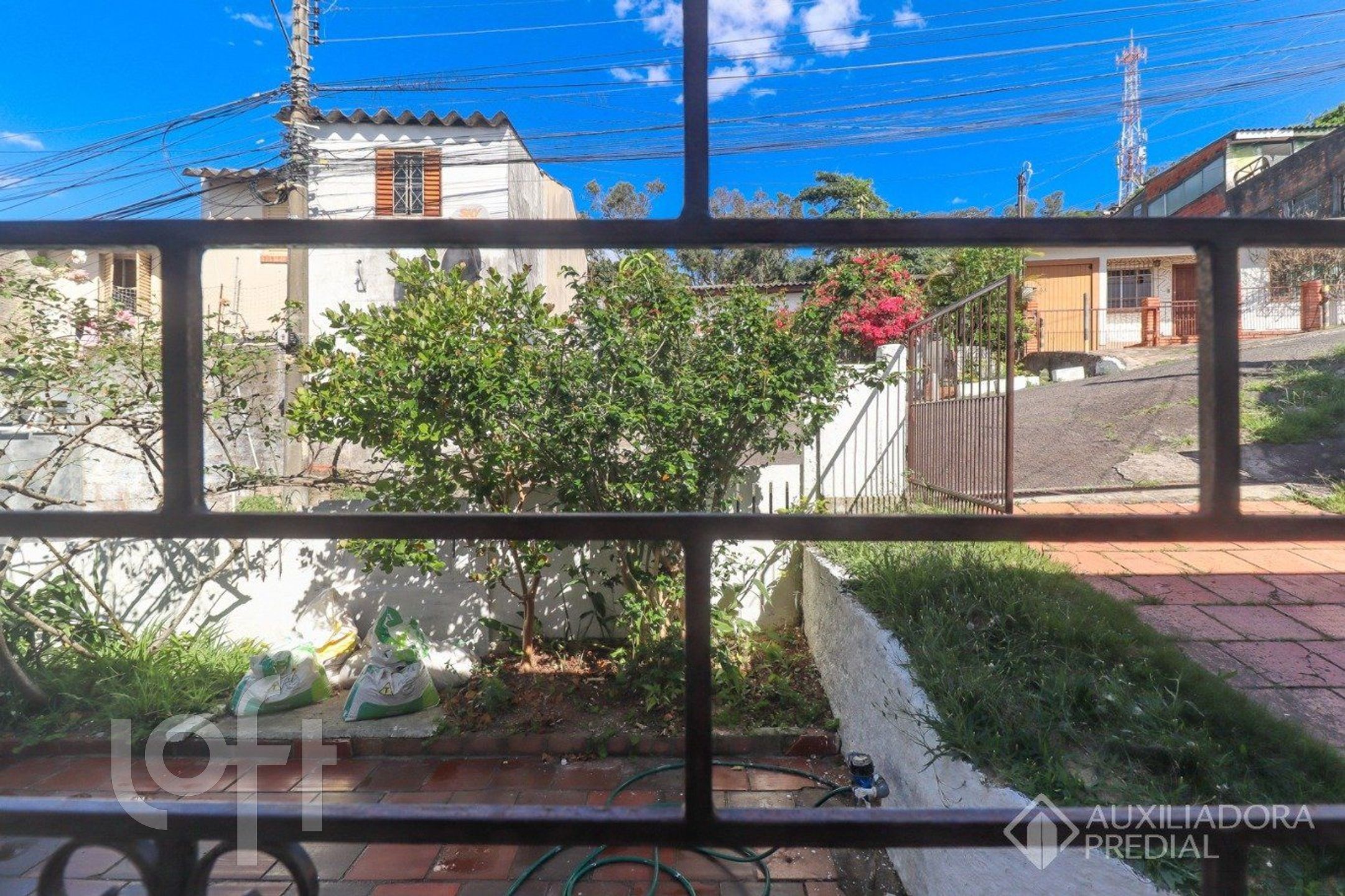 Imagem da propriedade 34