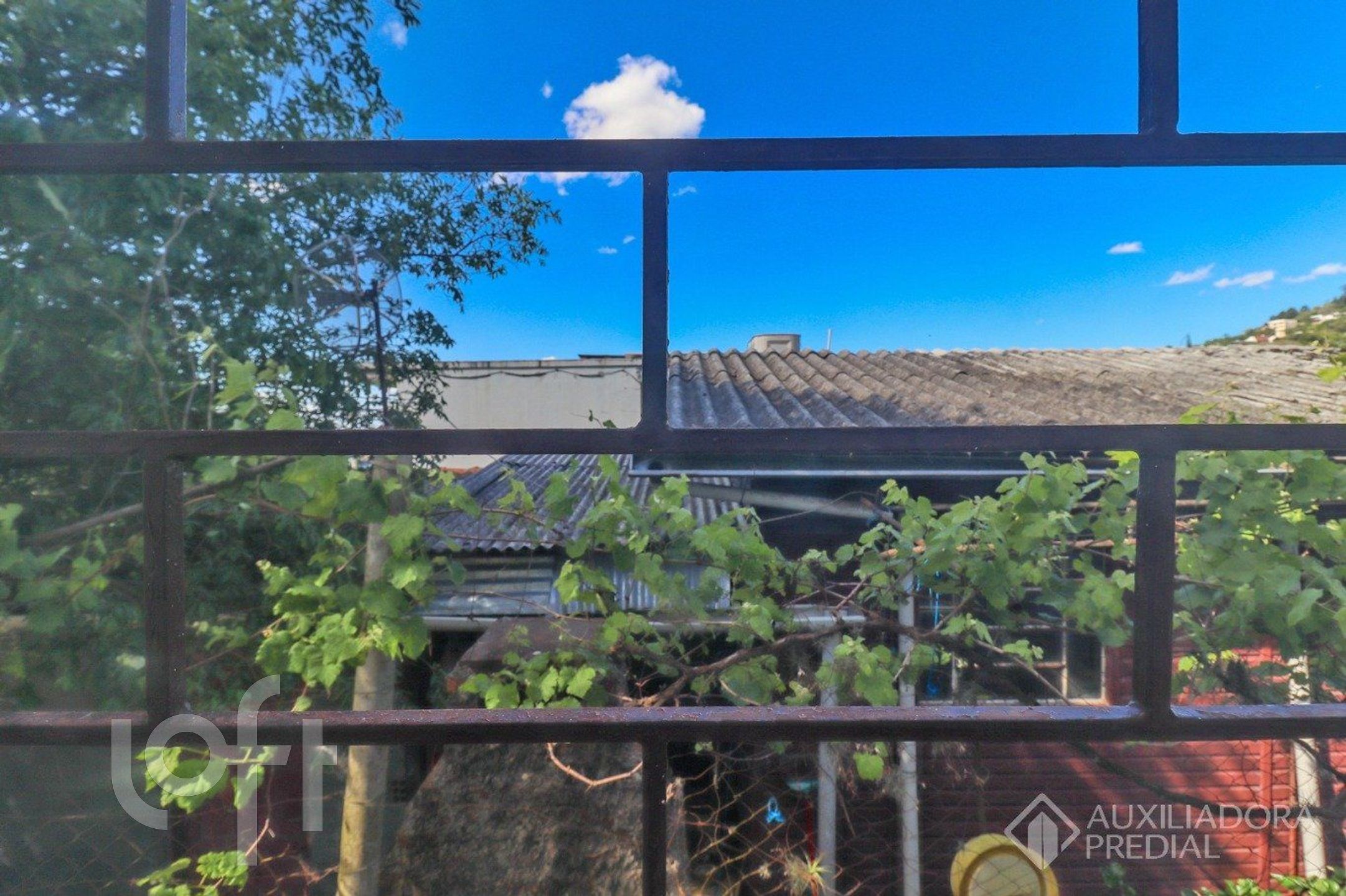 Imagem da propriedade 33