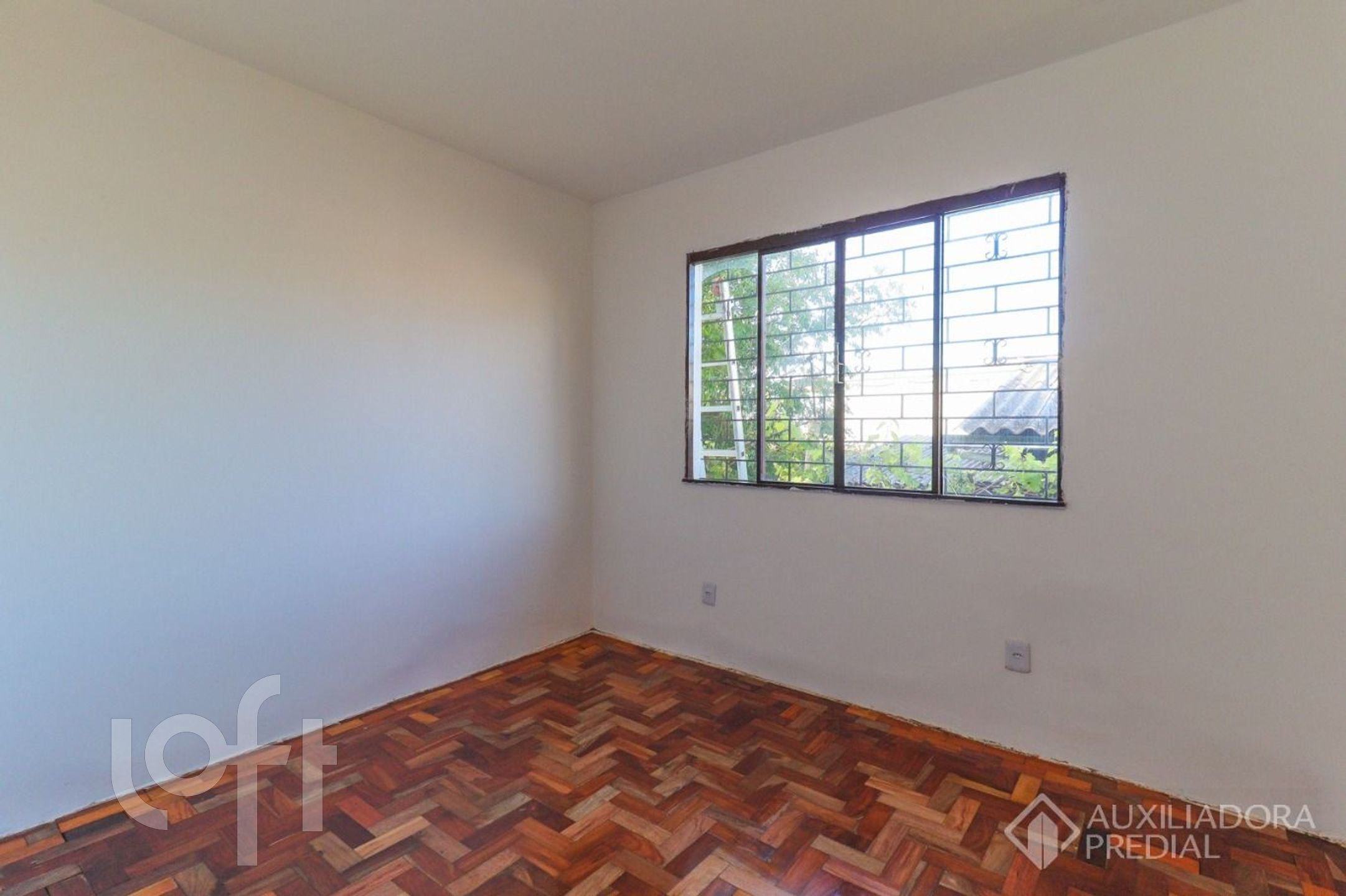 Imagem da propriedade 6