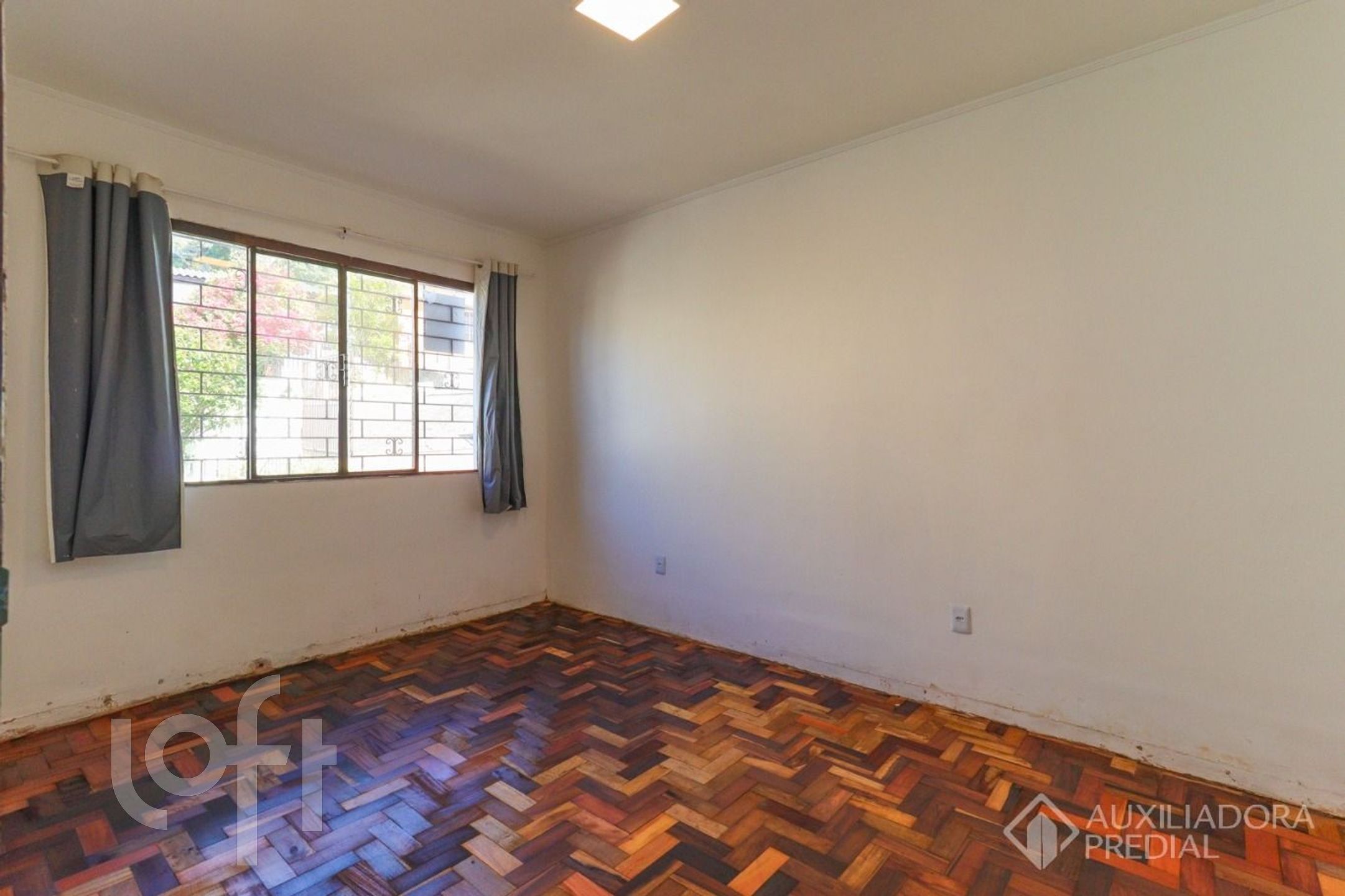 Imagem da propriedade 18