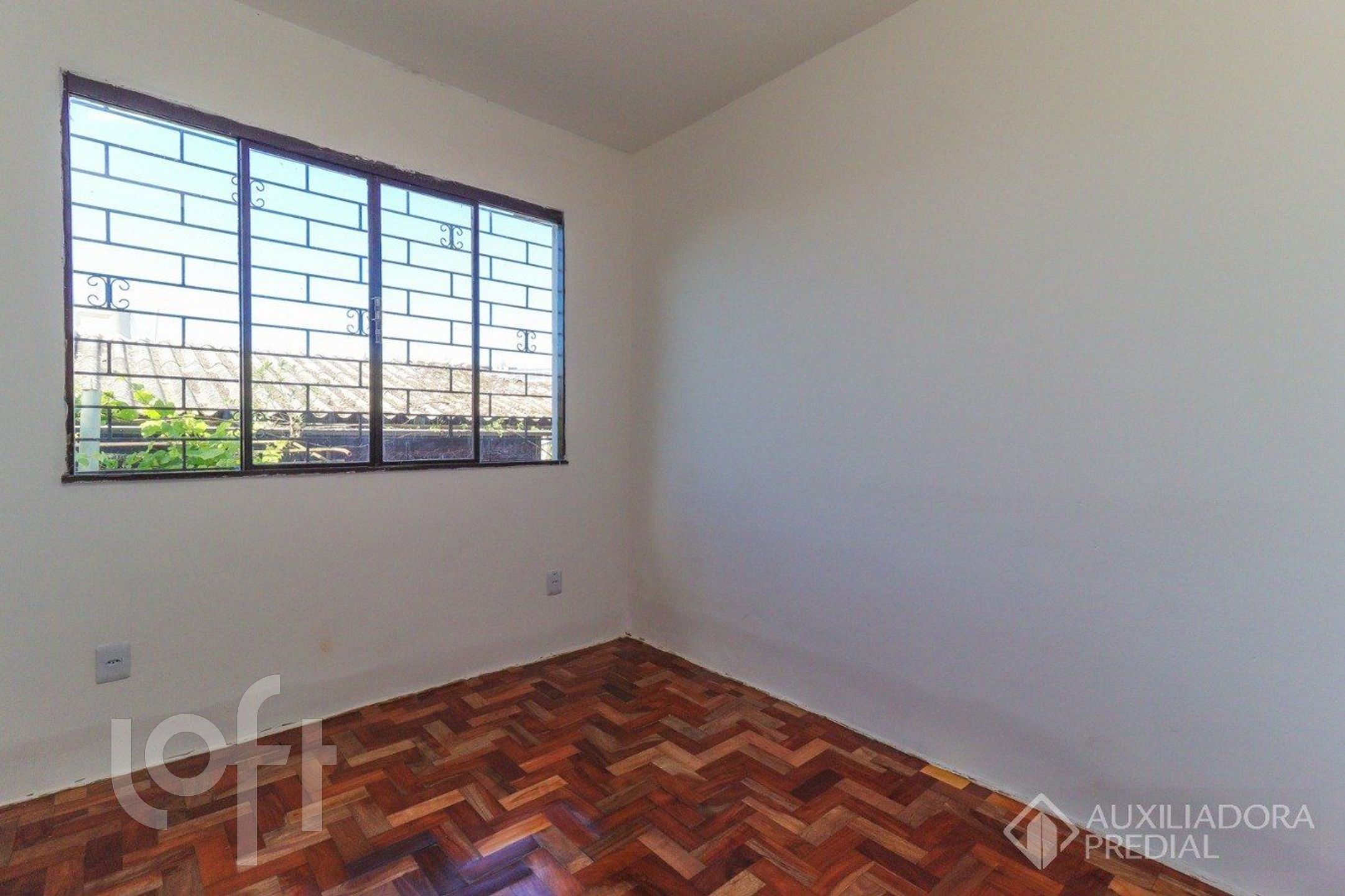 Imagem da propriedade 16