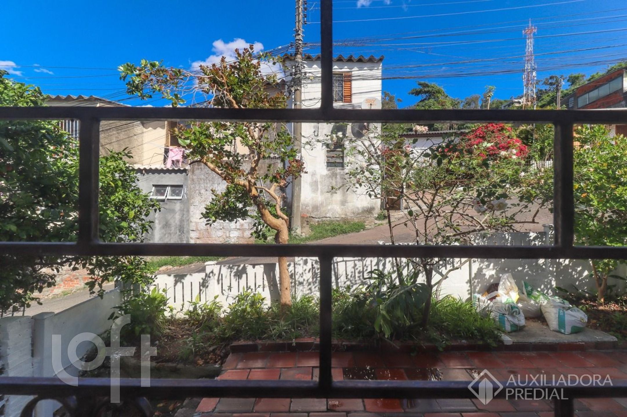 Imagem da propriedade 35