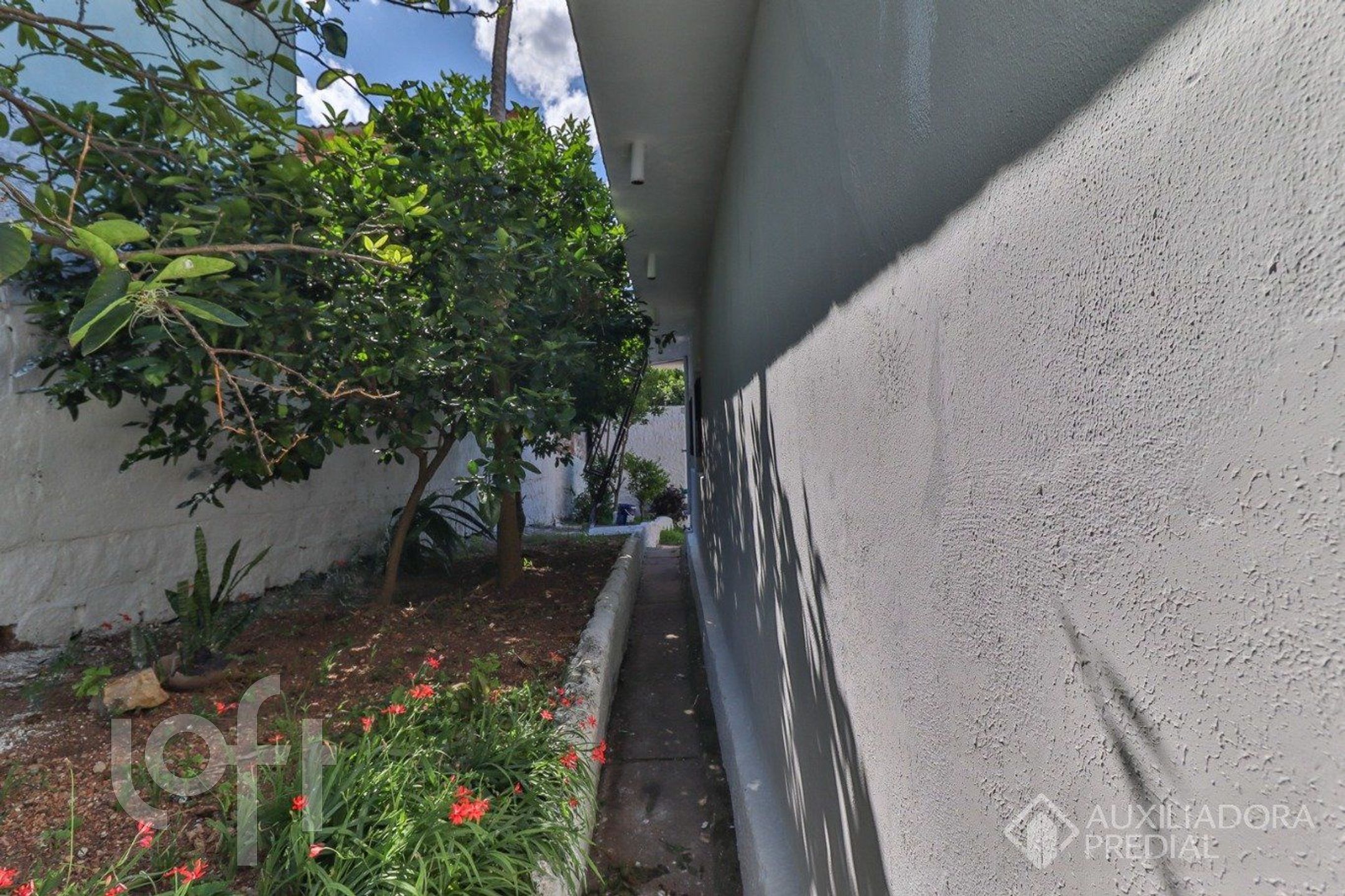 Imagem da propriedade 37