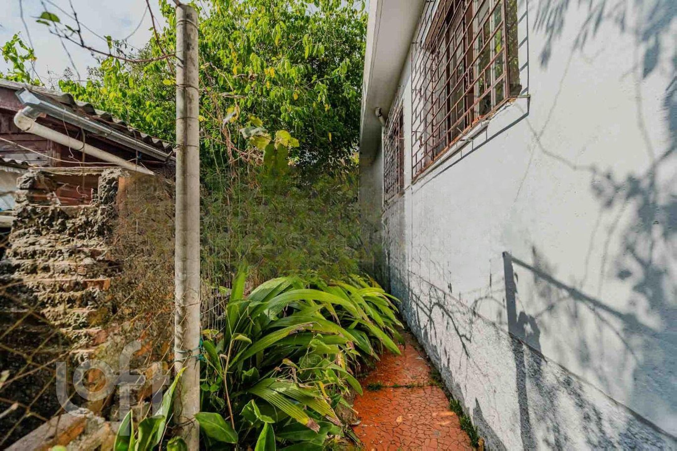 Imagem da propriedade 38