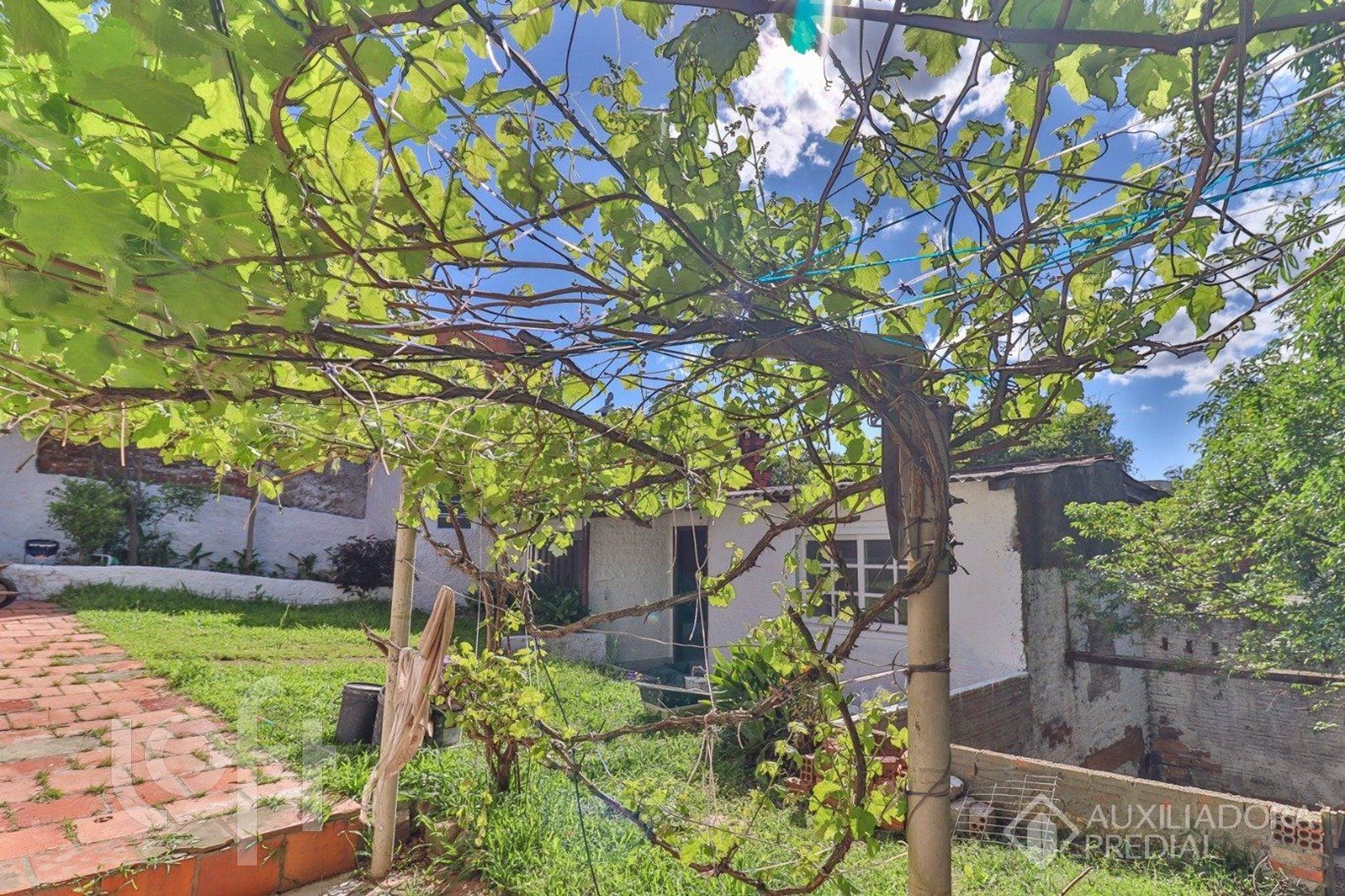 Imagem da propriedade 39