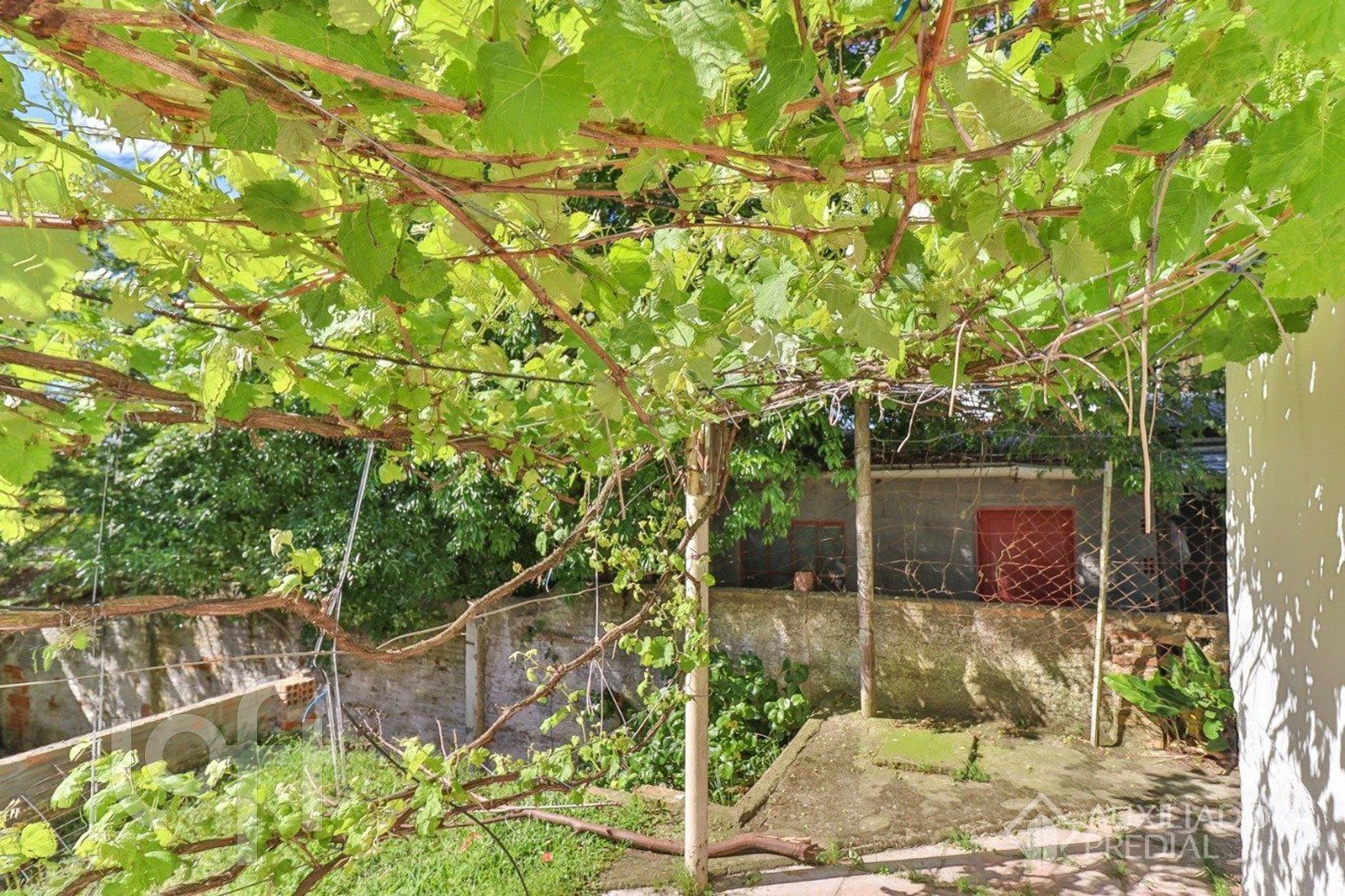 Imagem da propriedade 2