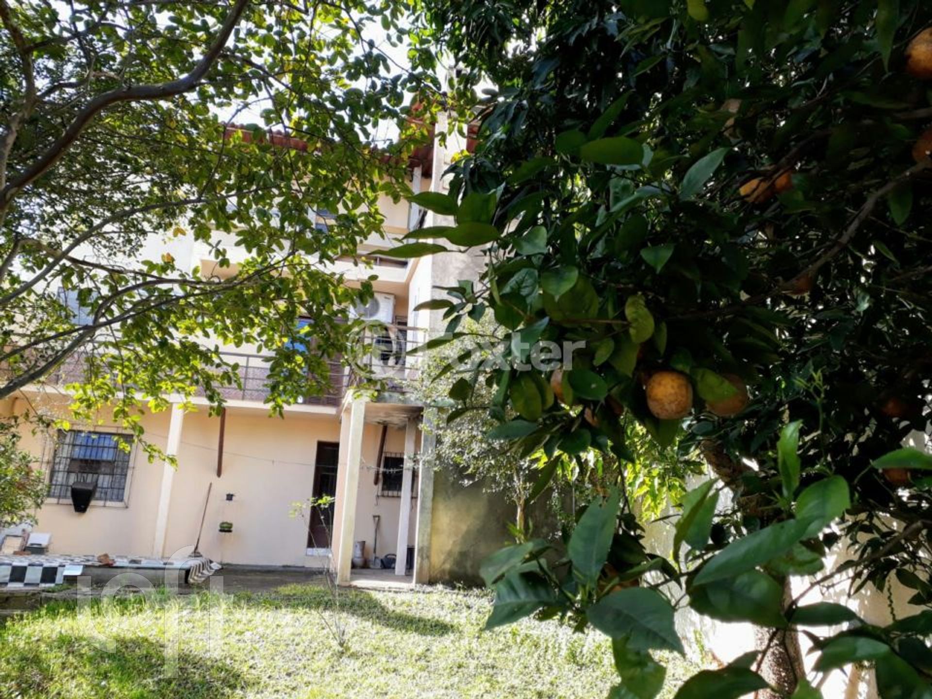 Imagem da propriedade 43