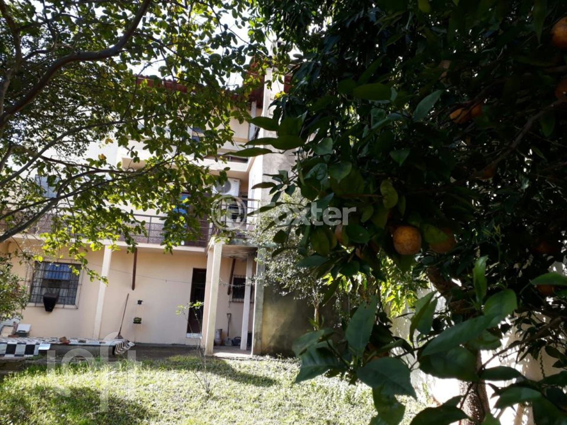 Imagem da propriedade 44