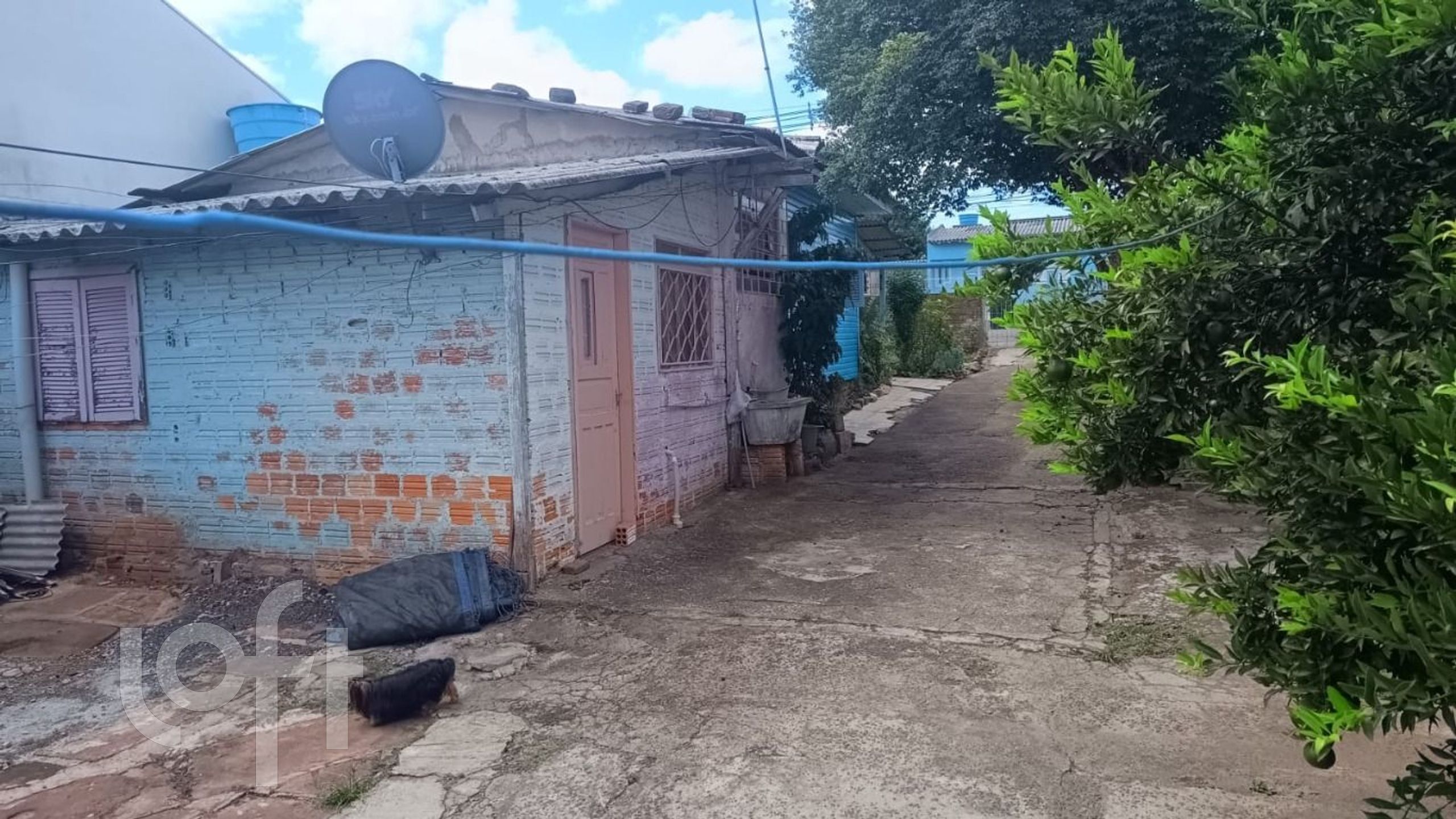 Imagem da propriedade 5