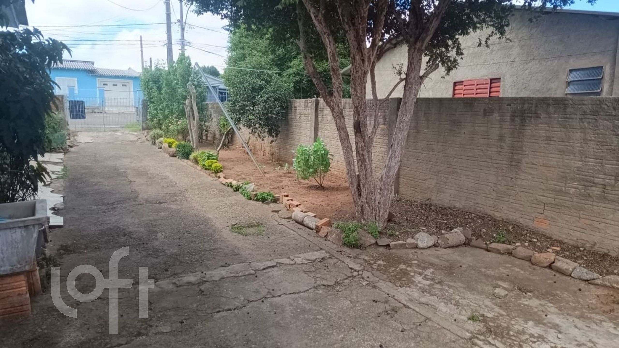 Imagem da propriedade 3