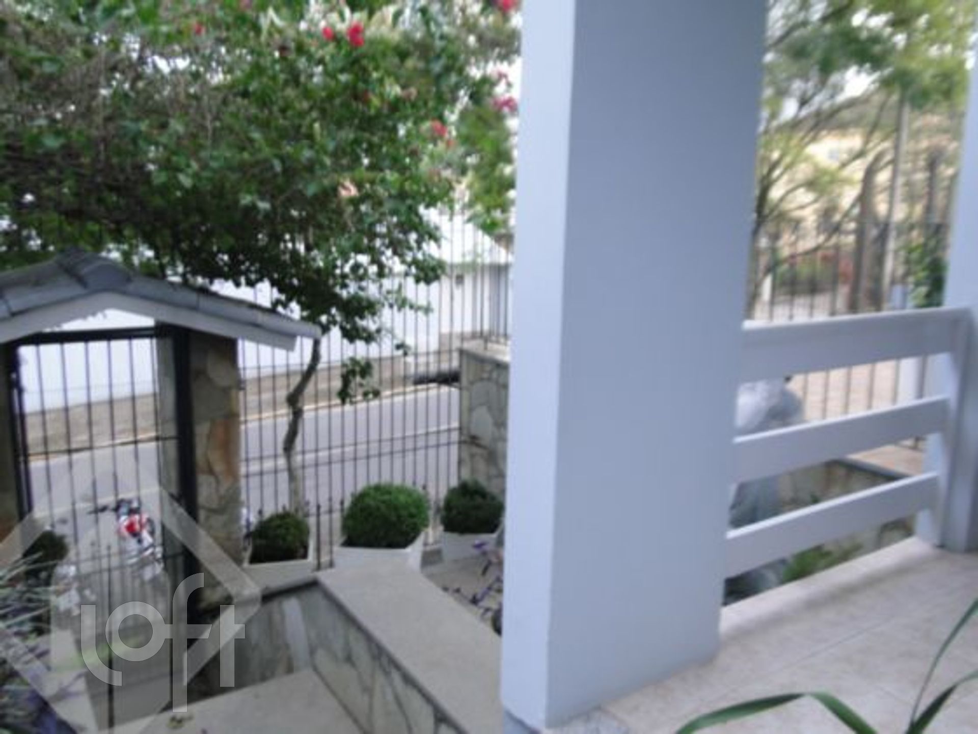 Imagem da propriedade 29