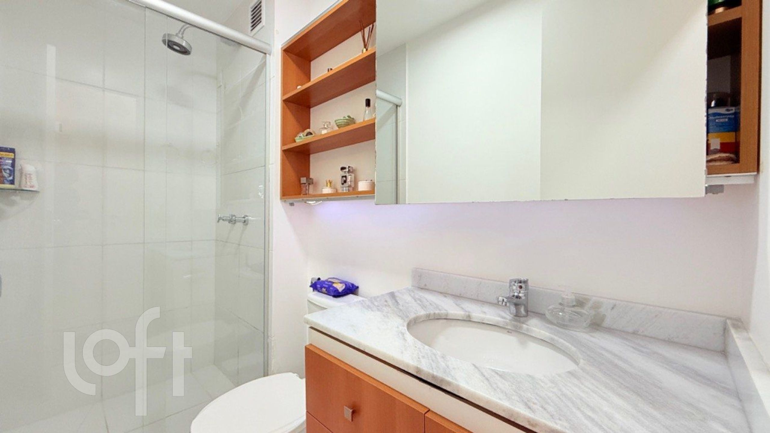 Imagem da propriedade 13