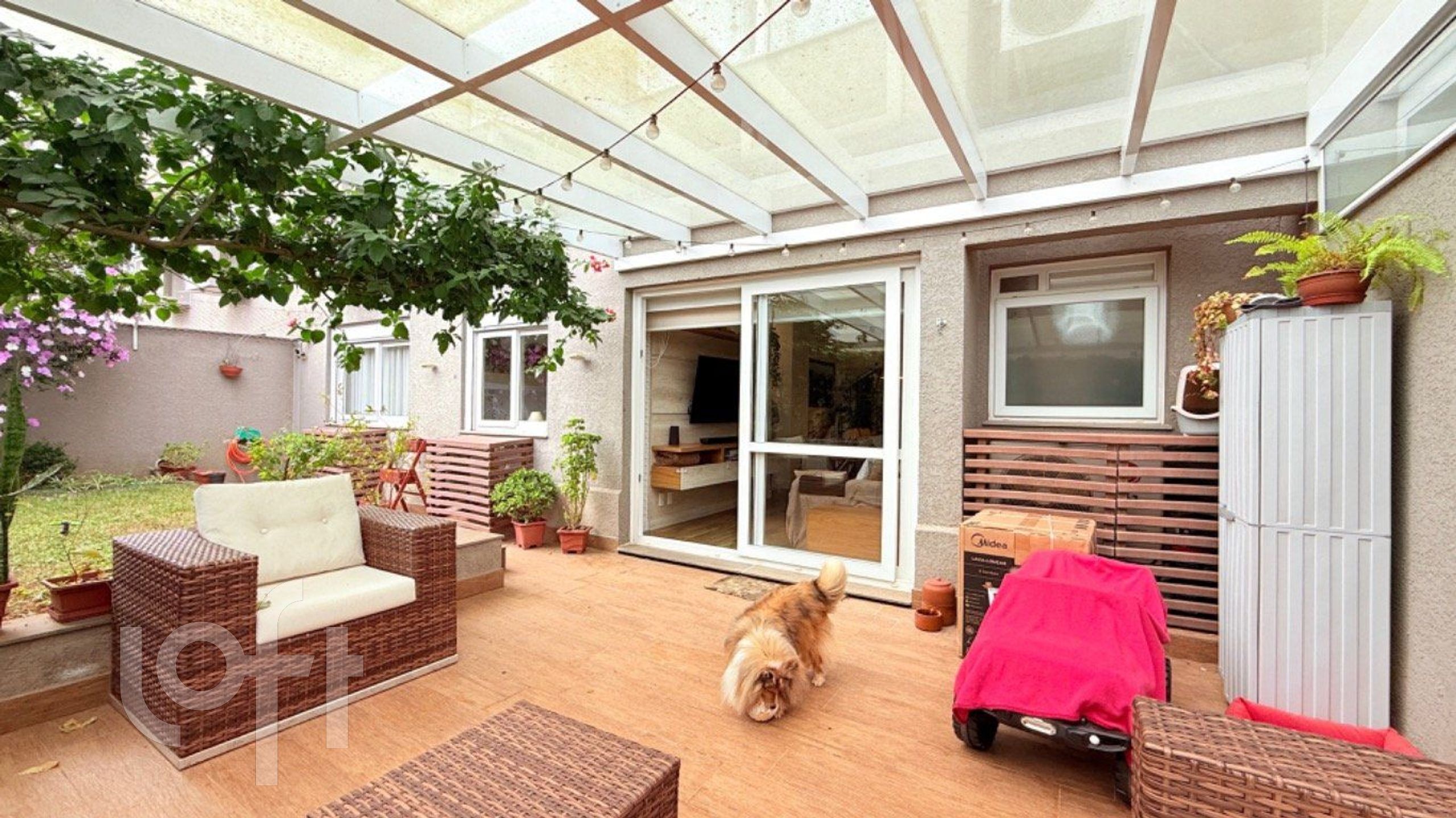 Imagem da propriedade 6