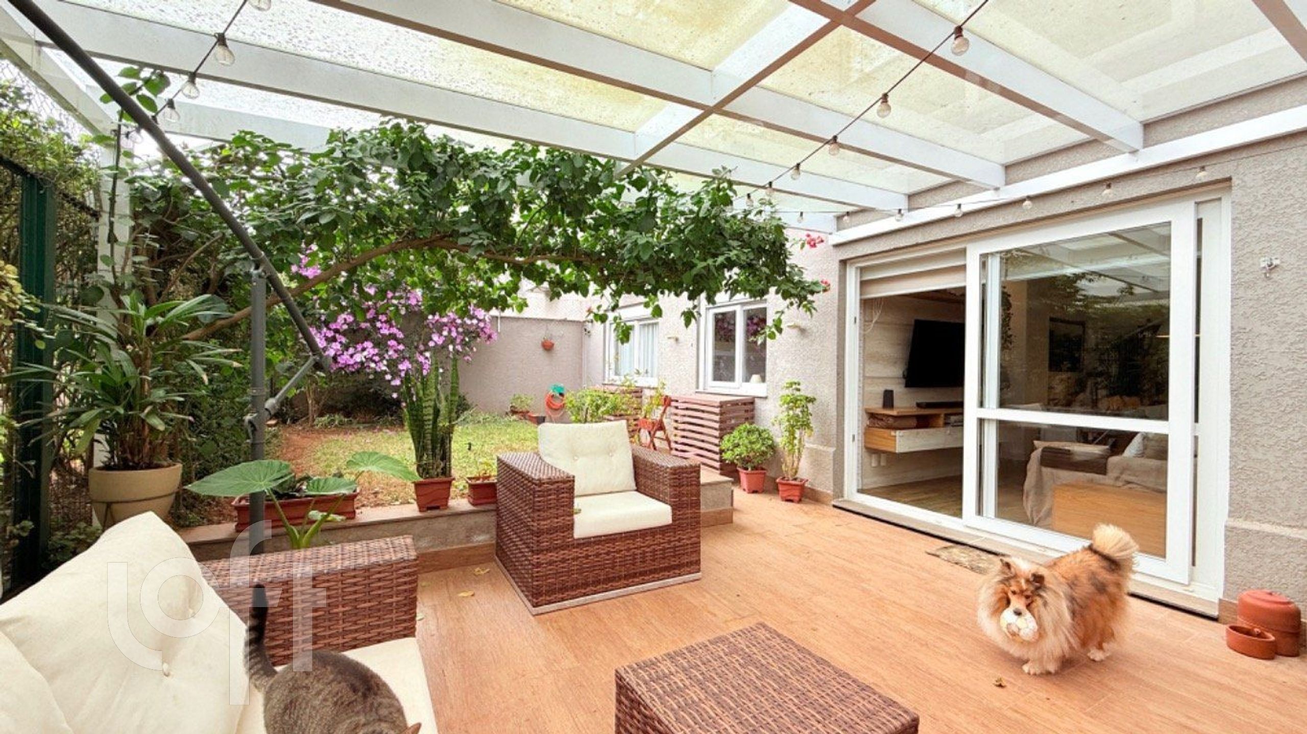 Imagem da propriedade 5