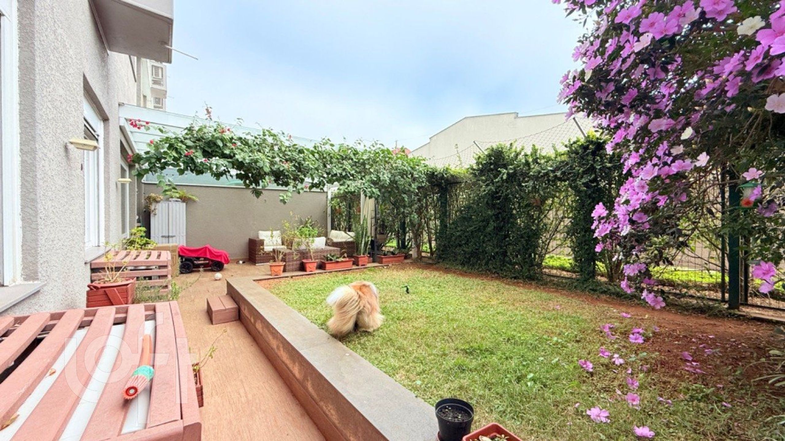 Imagem da propriedade 4