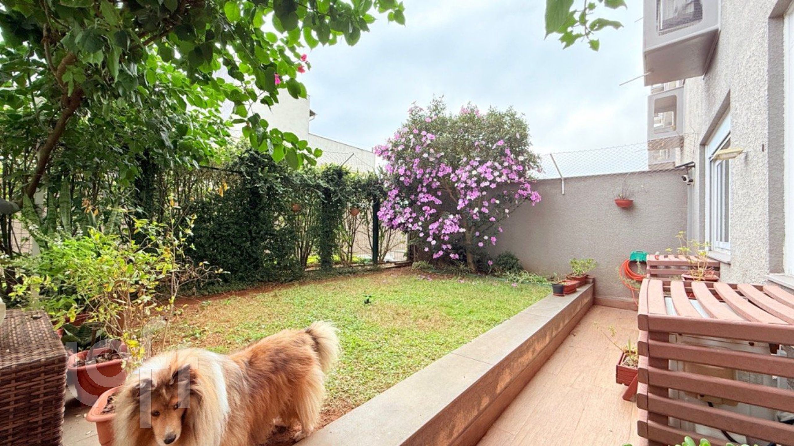 Imagem da propriedade 3