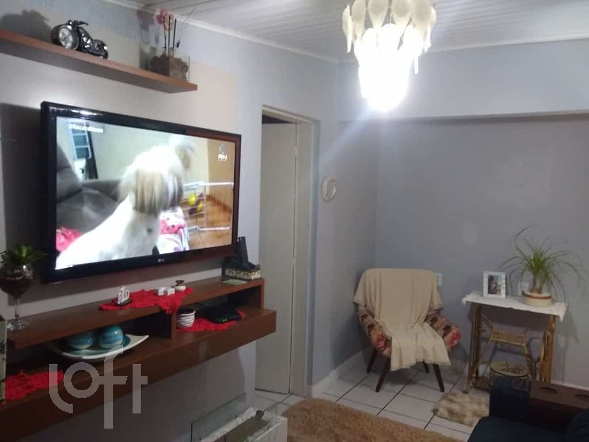 Imagem da propriedade 5