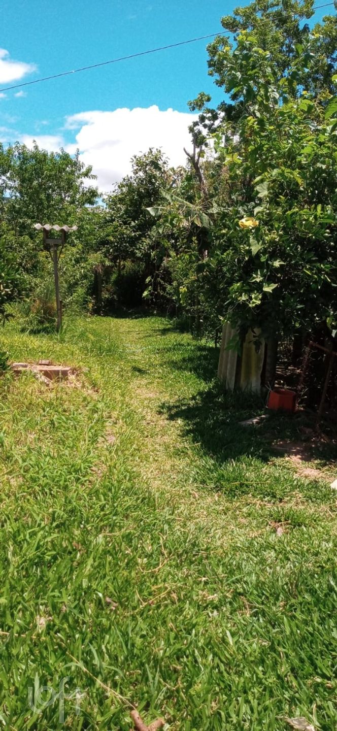 Imagem da propriedade 10