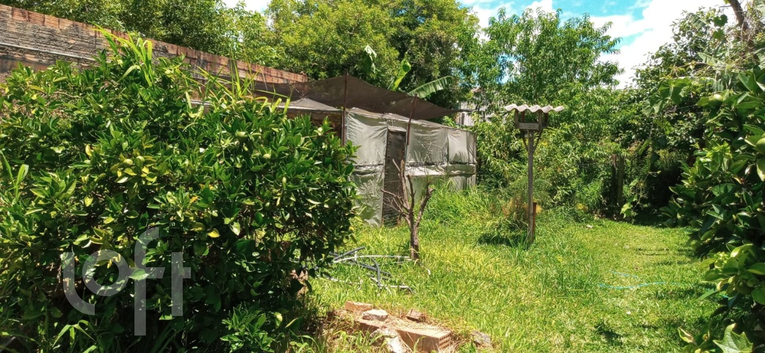 Imagem da propriedade 9