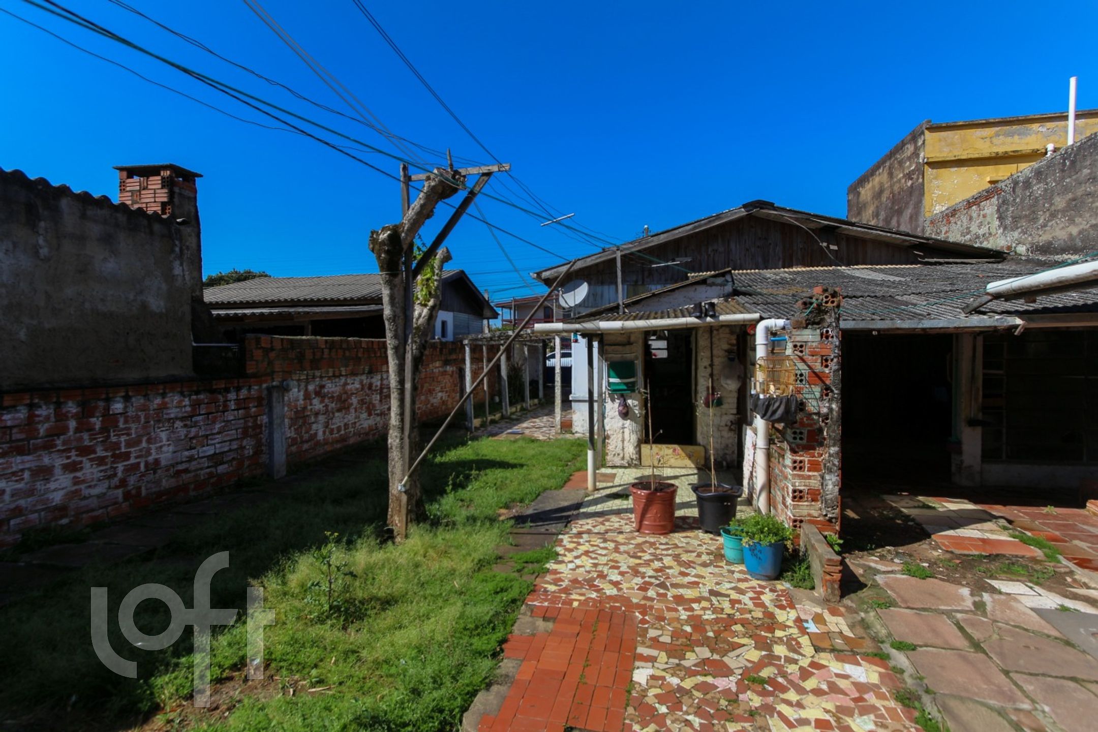 Imagem da propriedade 10