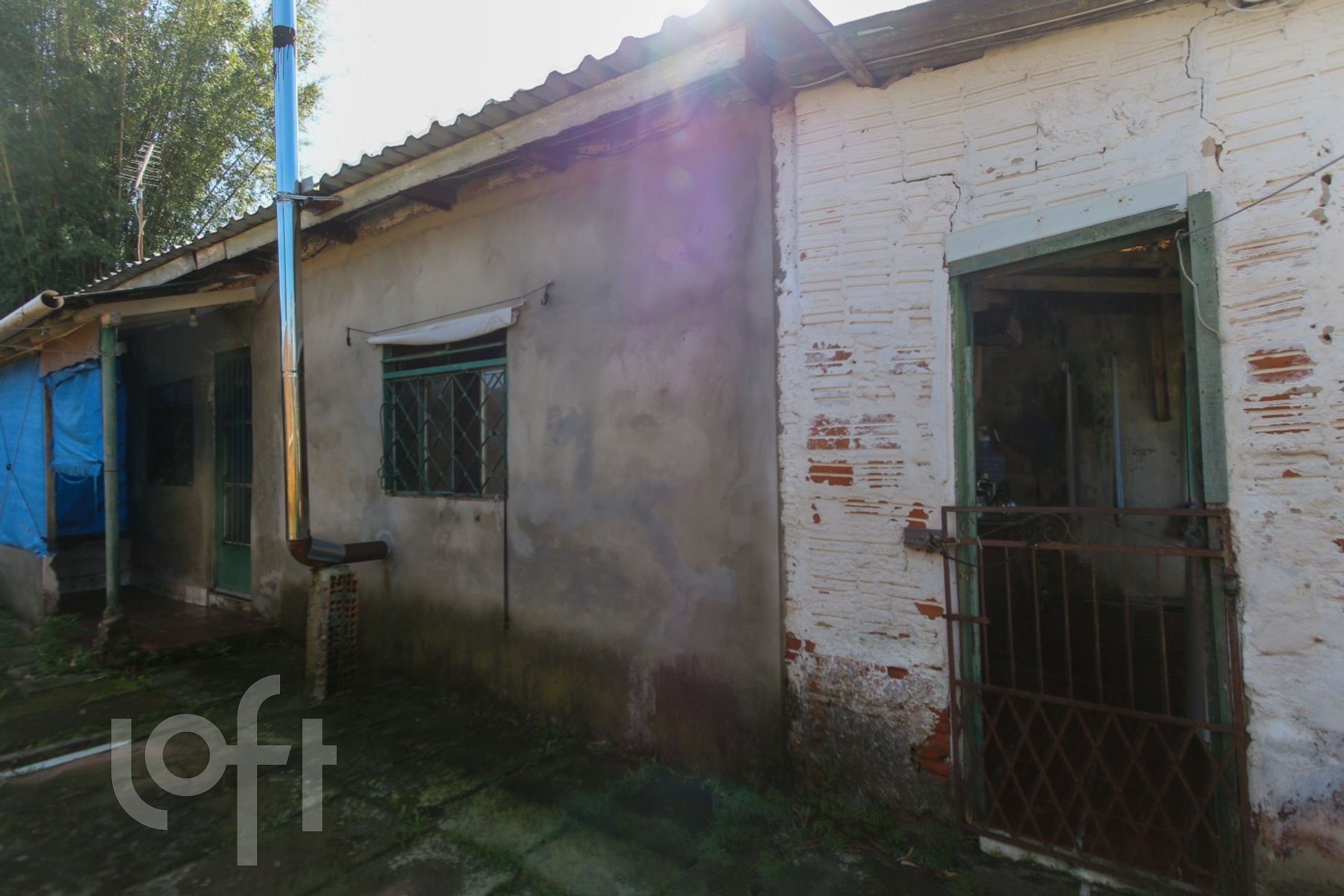 Imagem da propriedade 3