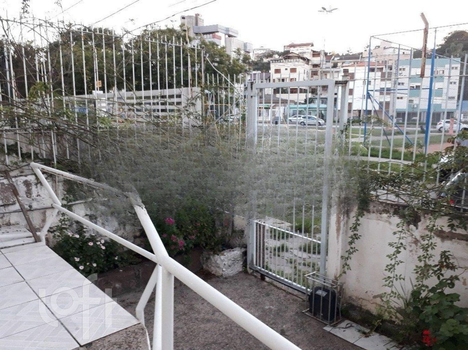 Imagem da propriedade 3