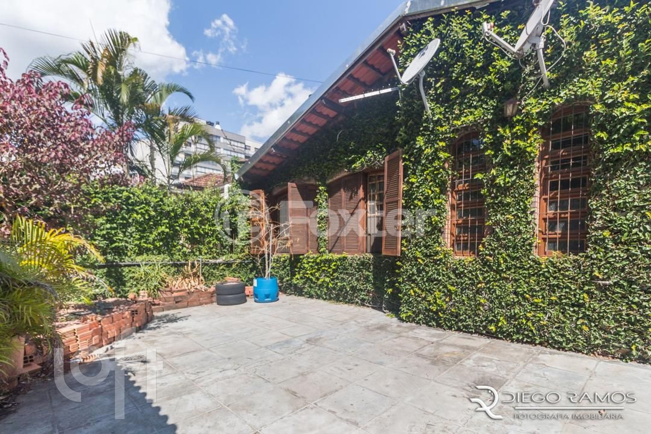 Imagem da propriedade 17