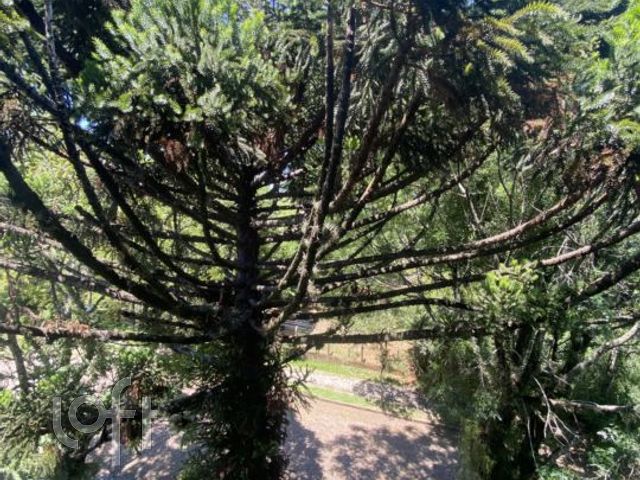 Apartamento com 183m², 3 dormitórios, 1 suíte, 2 vagas, Chácara das Pedras em Porto Alegre