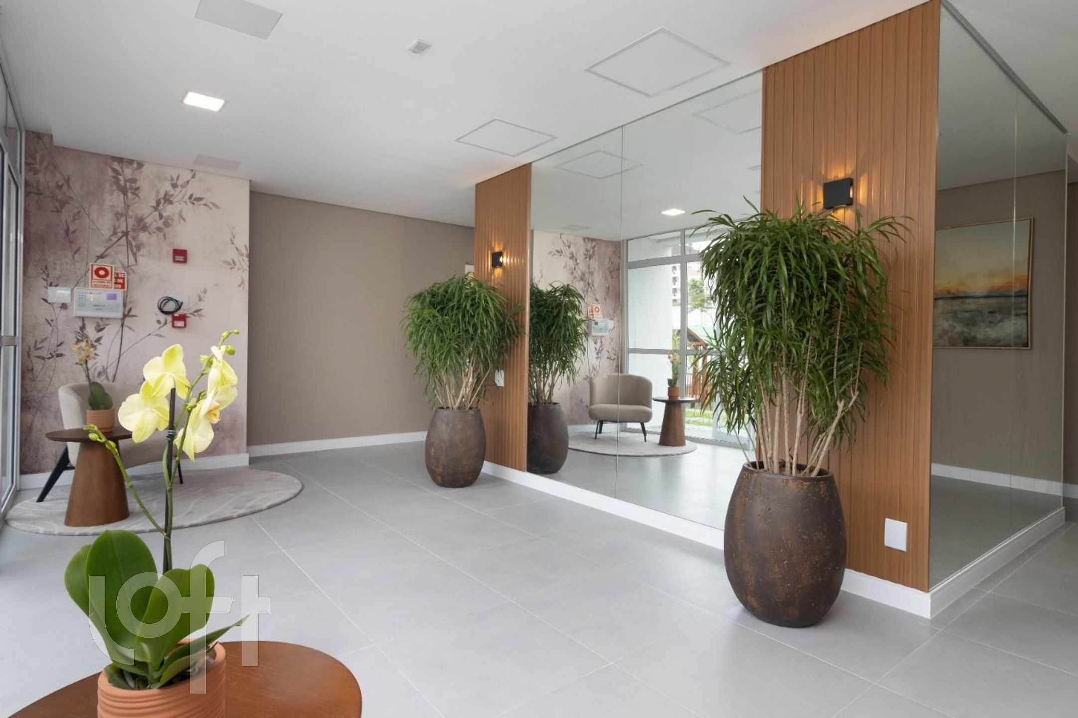 Imagem da propriedade 11