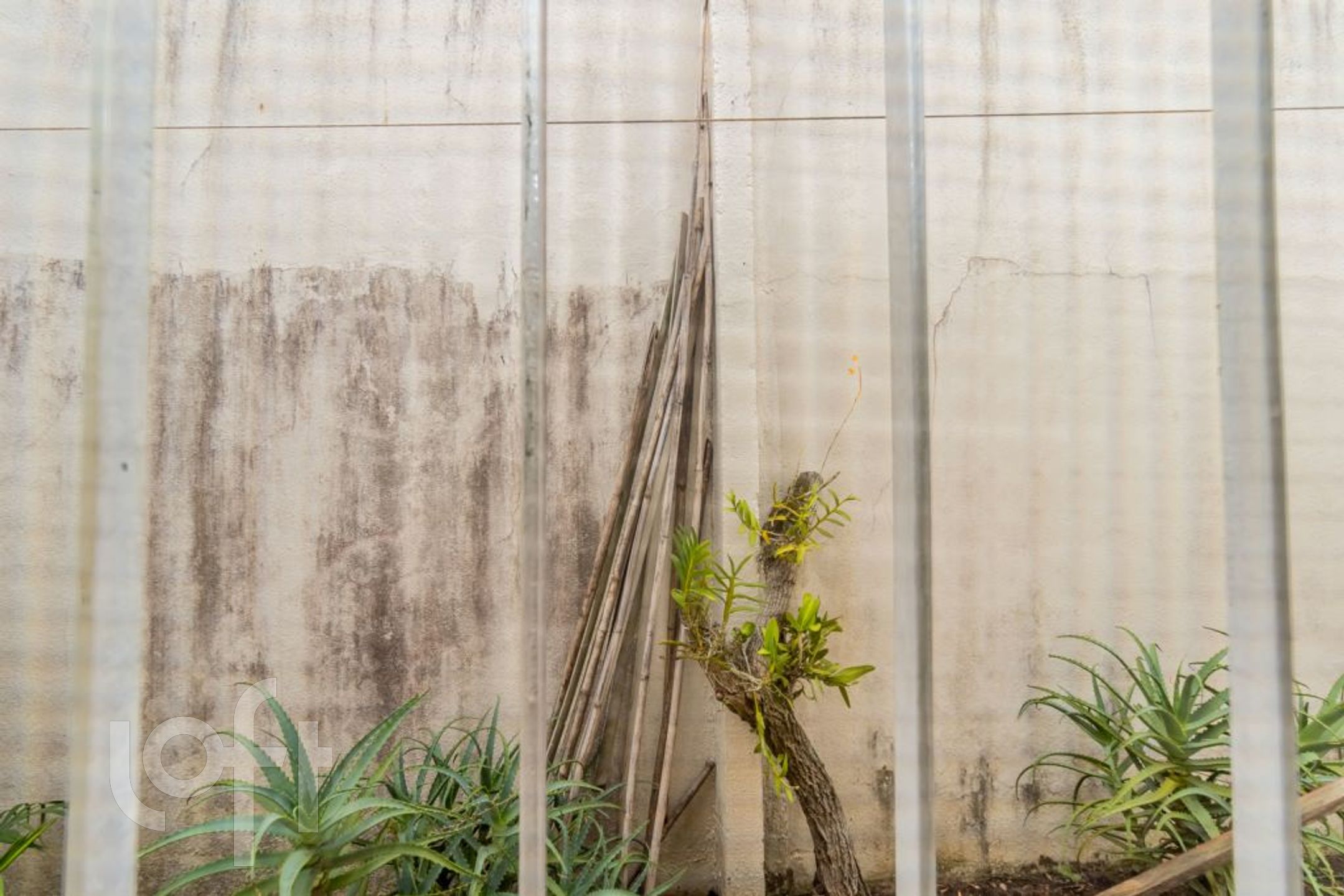 Imagem da propriedade 21