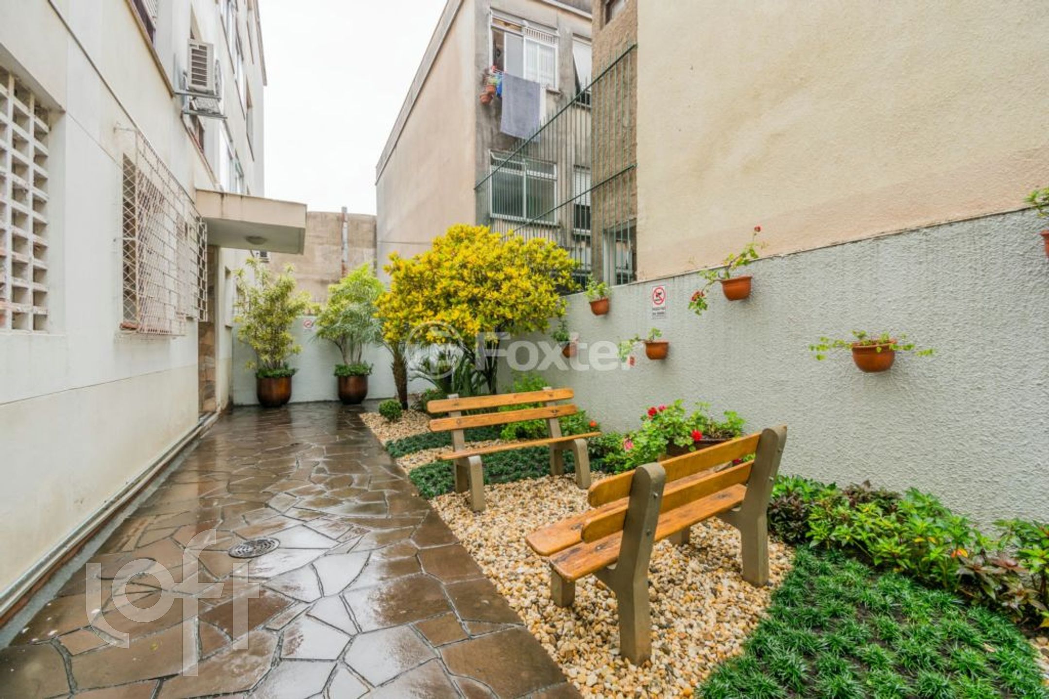 Imagem da propriedade 18