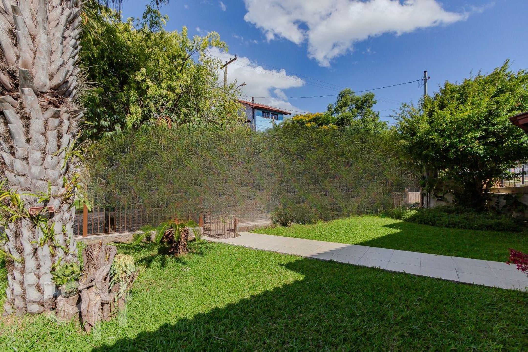 Imagem da propriedade 7