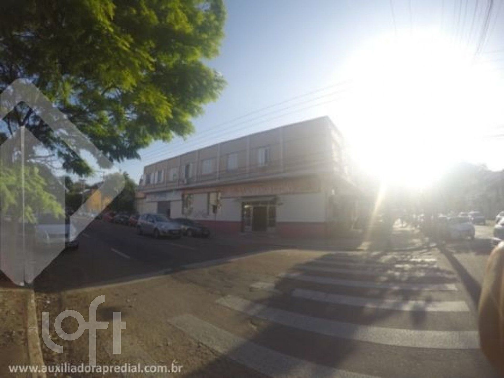 Imagem da propriedade 14