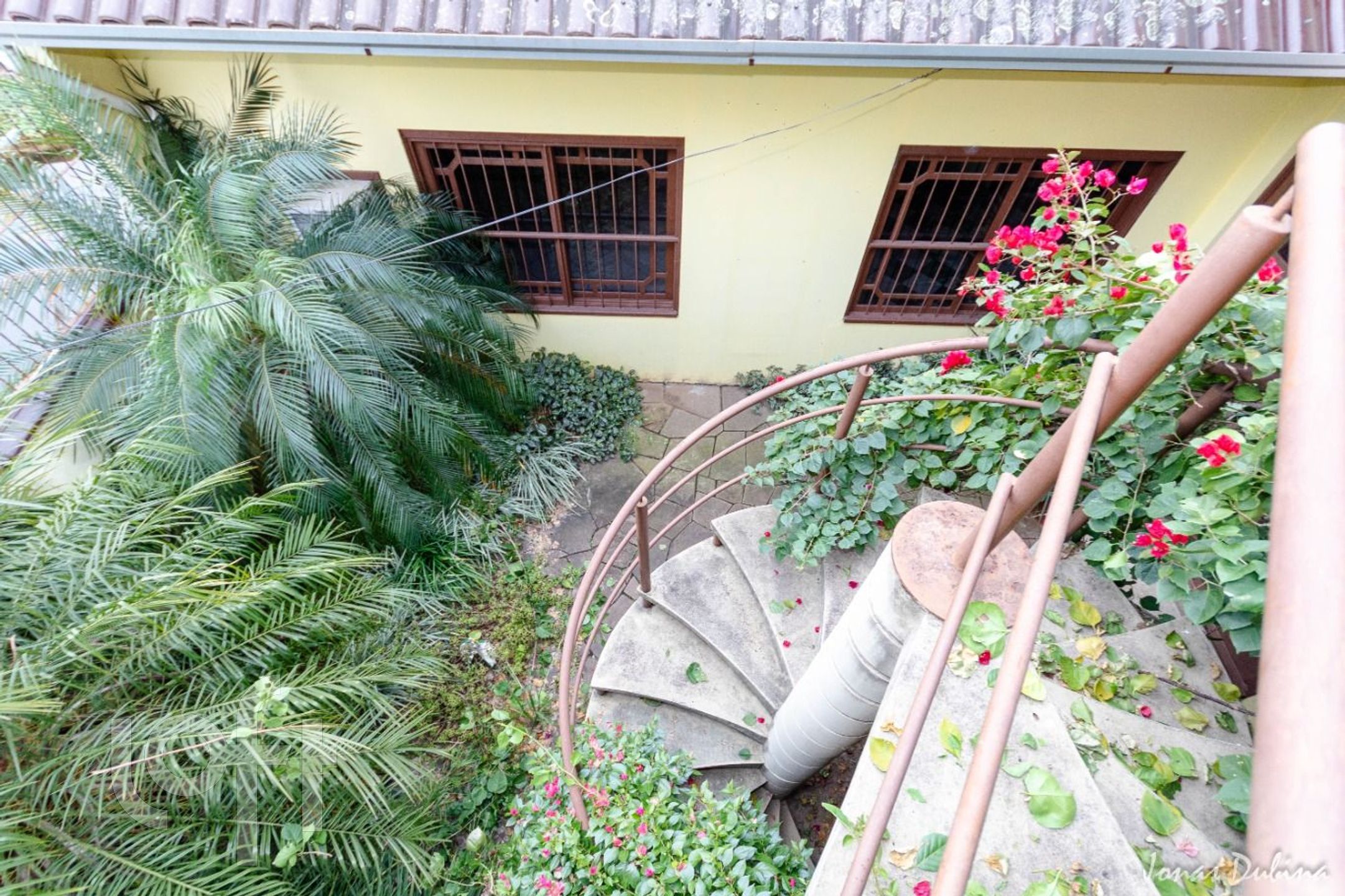 Imagem da propriedade 40