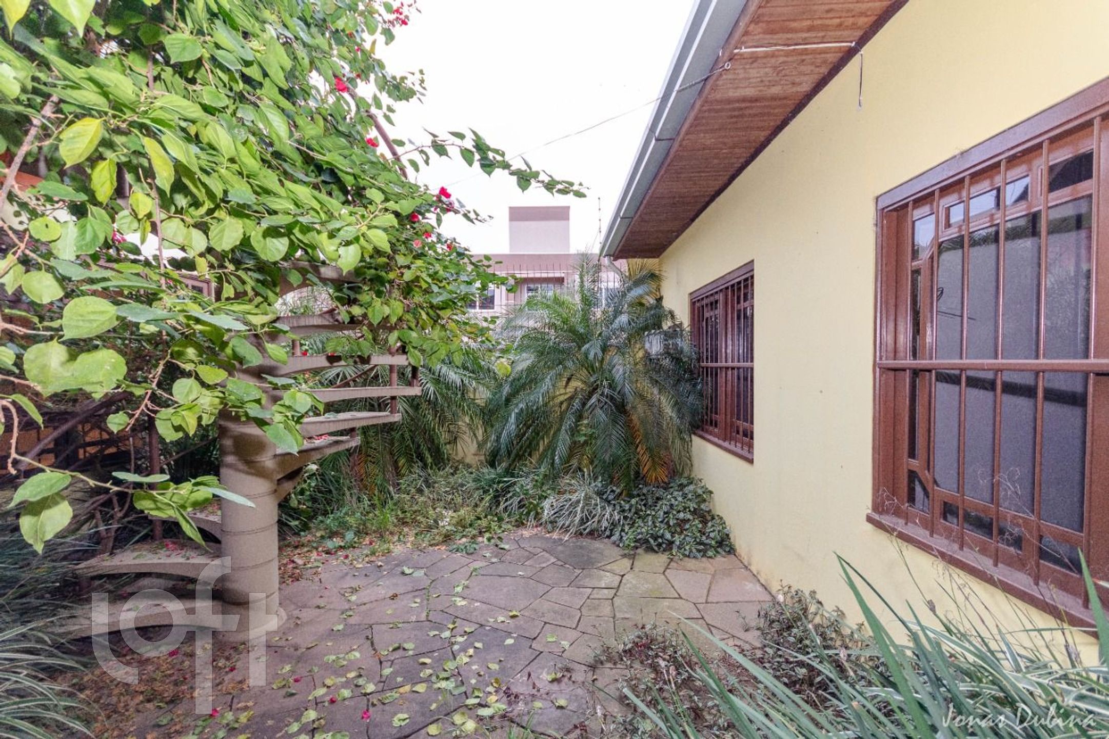 Imagem da propriedade 31