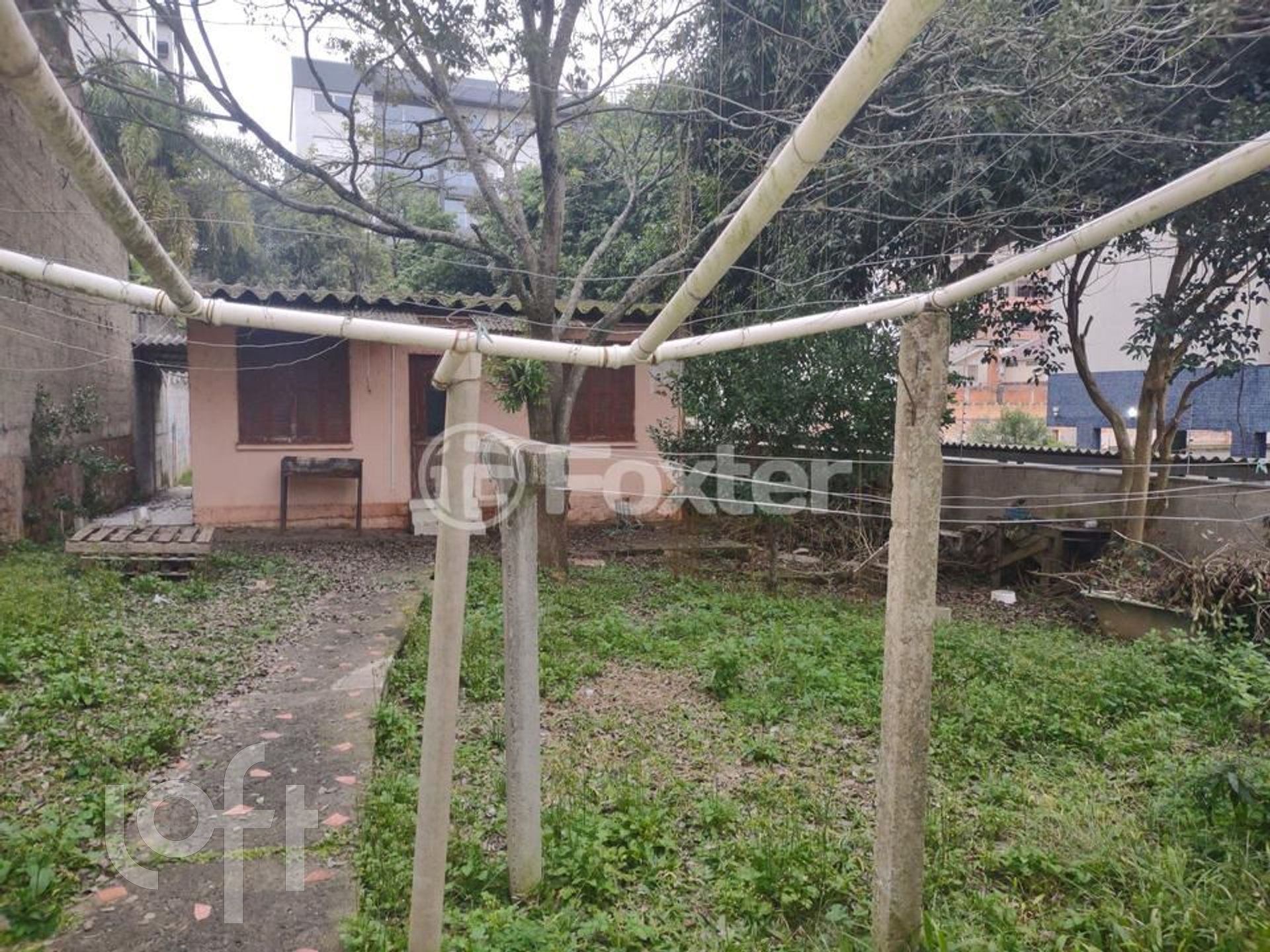 Imagem da propriedade 16