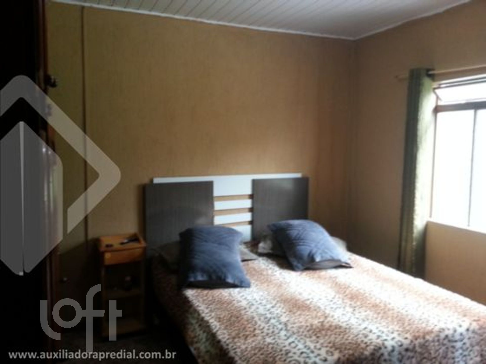 Imagem da propriedade 12