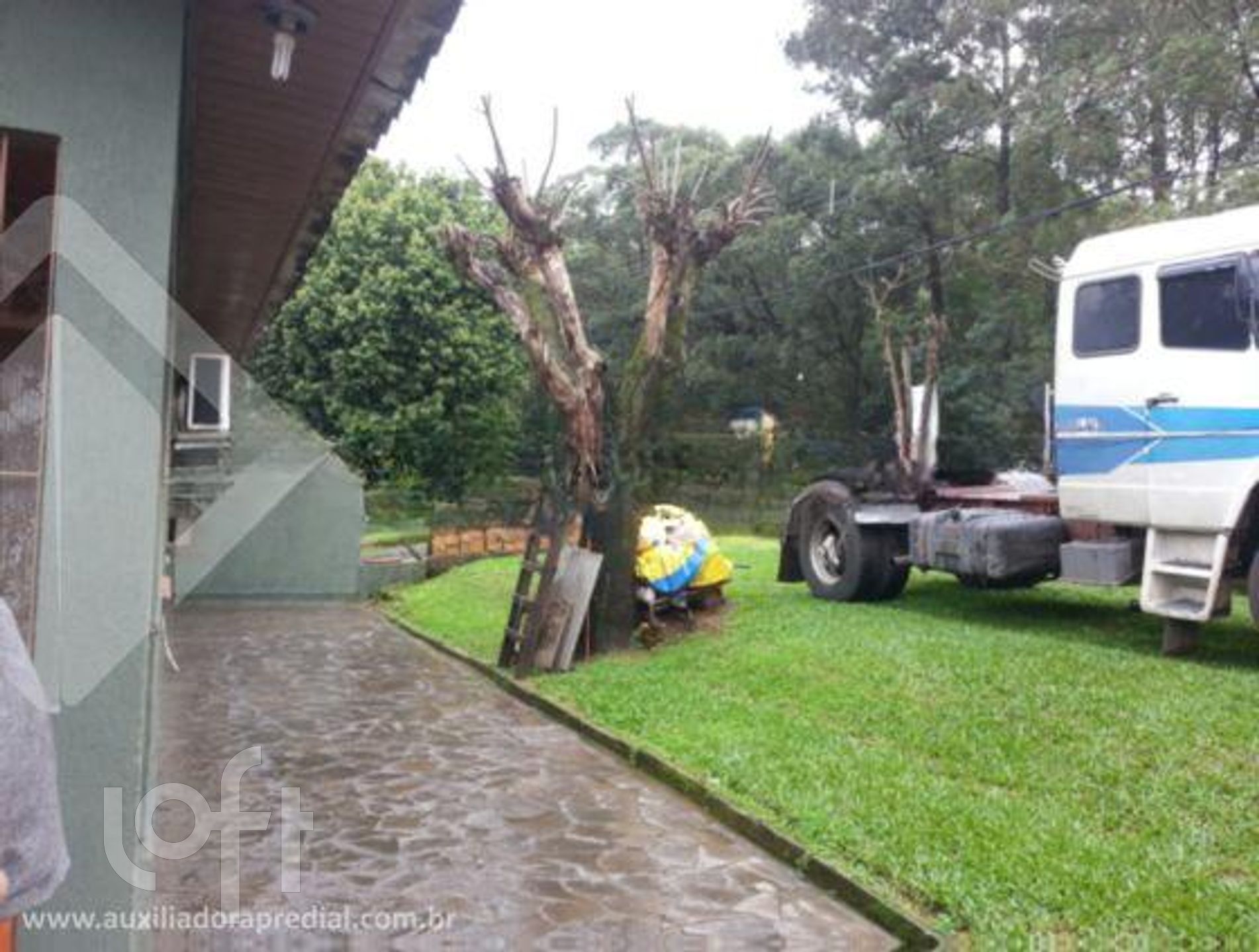 Imagem da propriedade 6