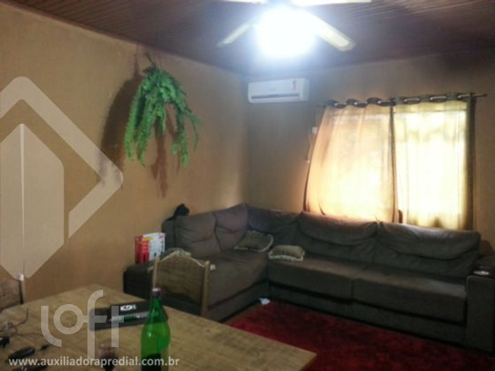 Imagem da propriedade 11