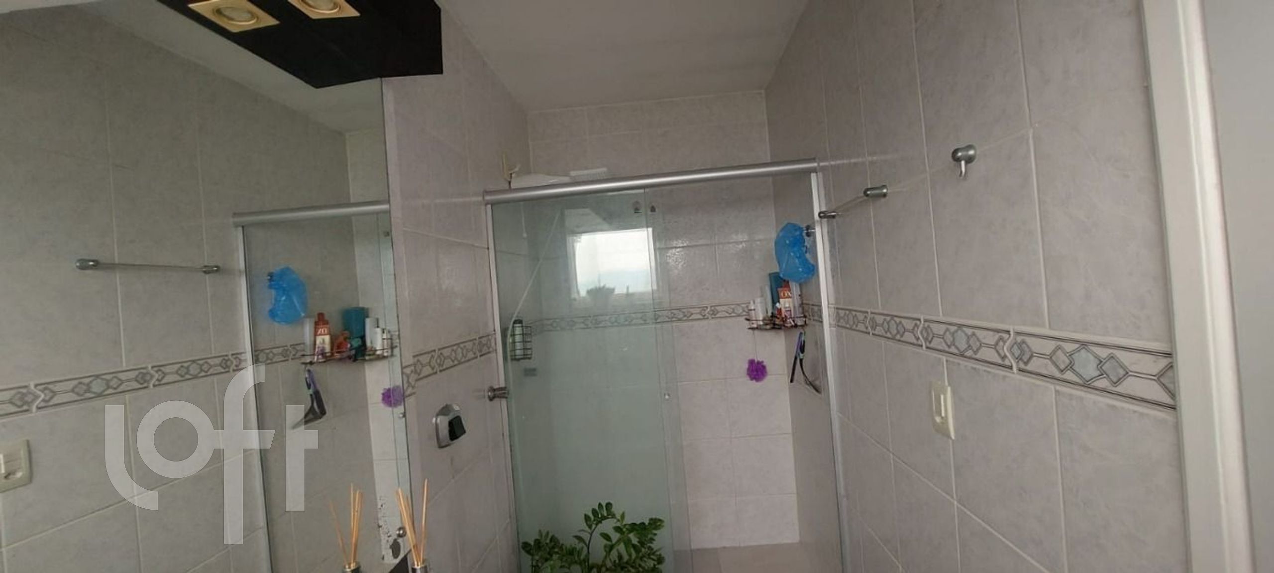 Imagem da propriedade 16