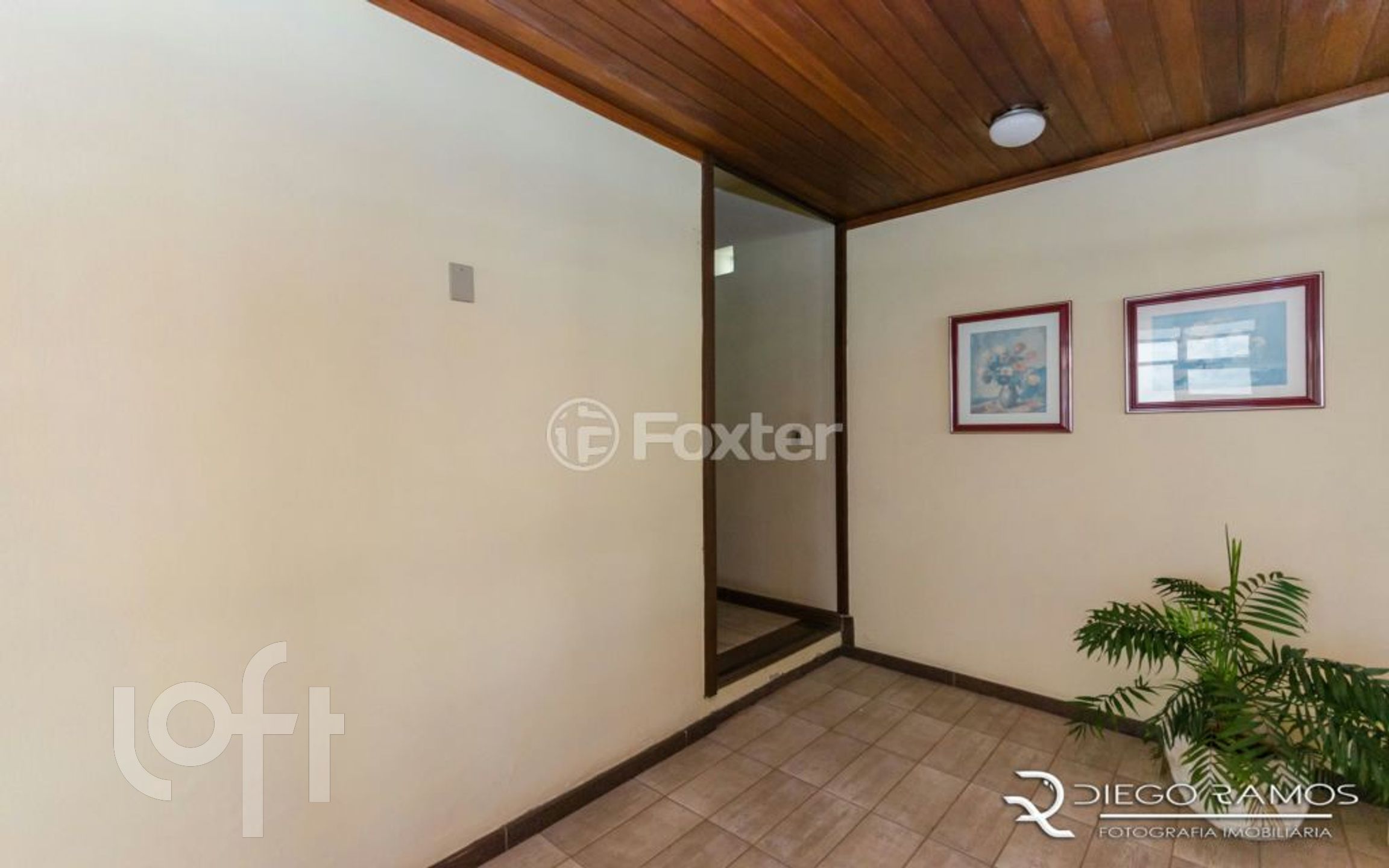 Imagem da propriedade 3