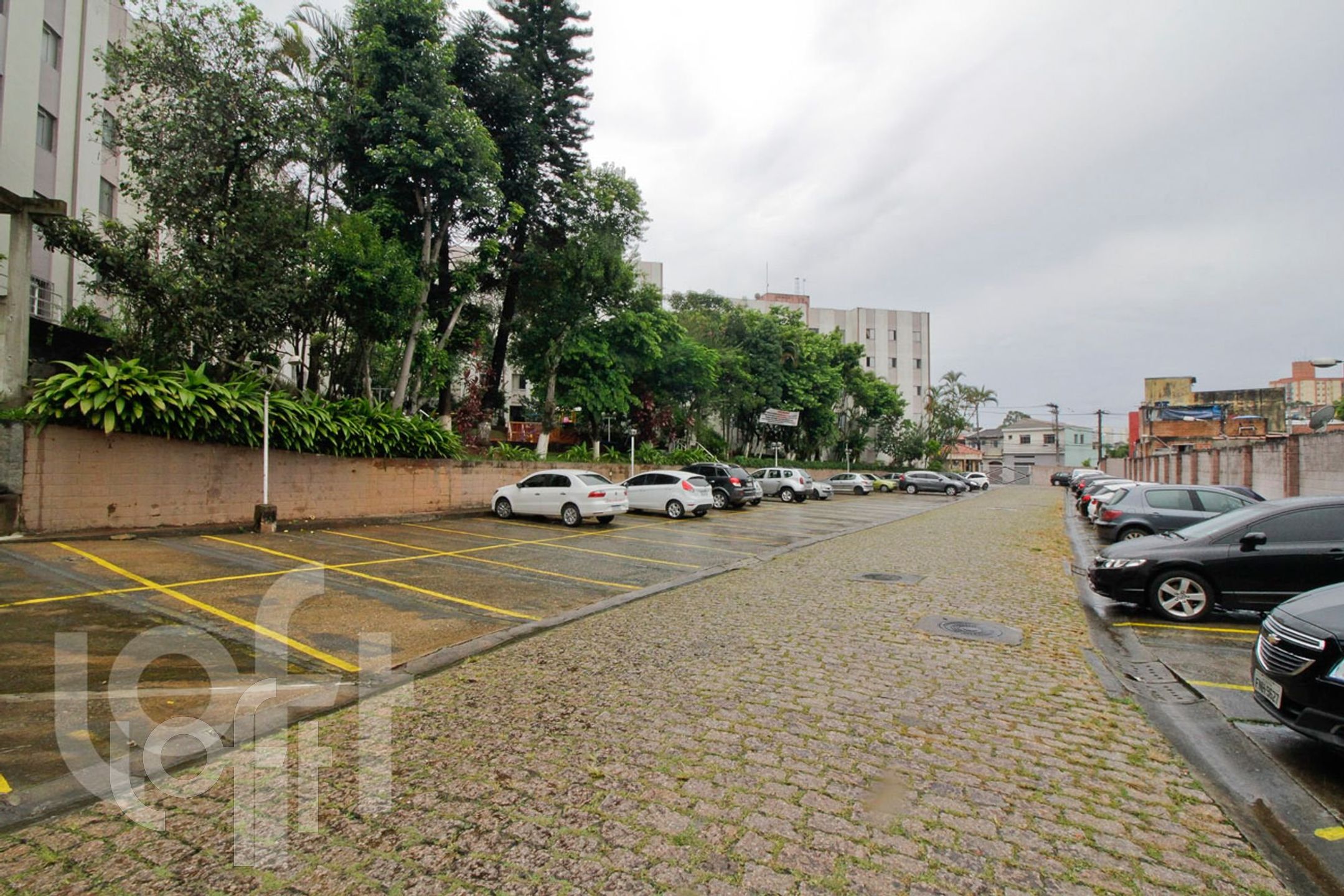 Imagem da propriedade 9