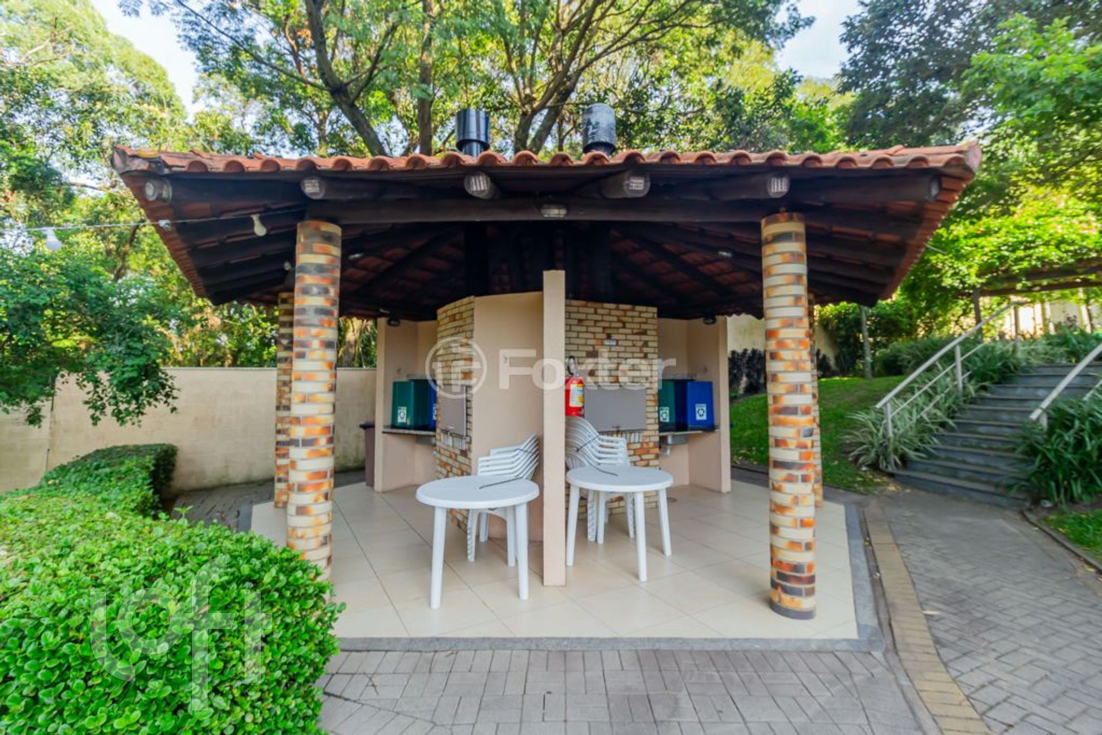 Imagem da propriedade 50